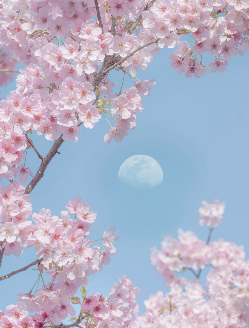 We Know Better, But We Still Haven’t Interrupted the Pattern.