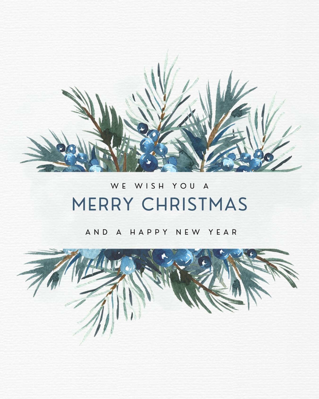 Merry Christmas! 💙