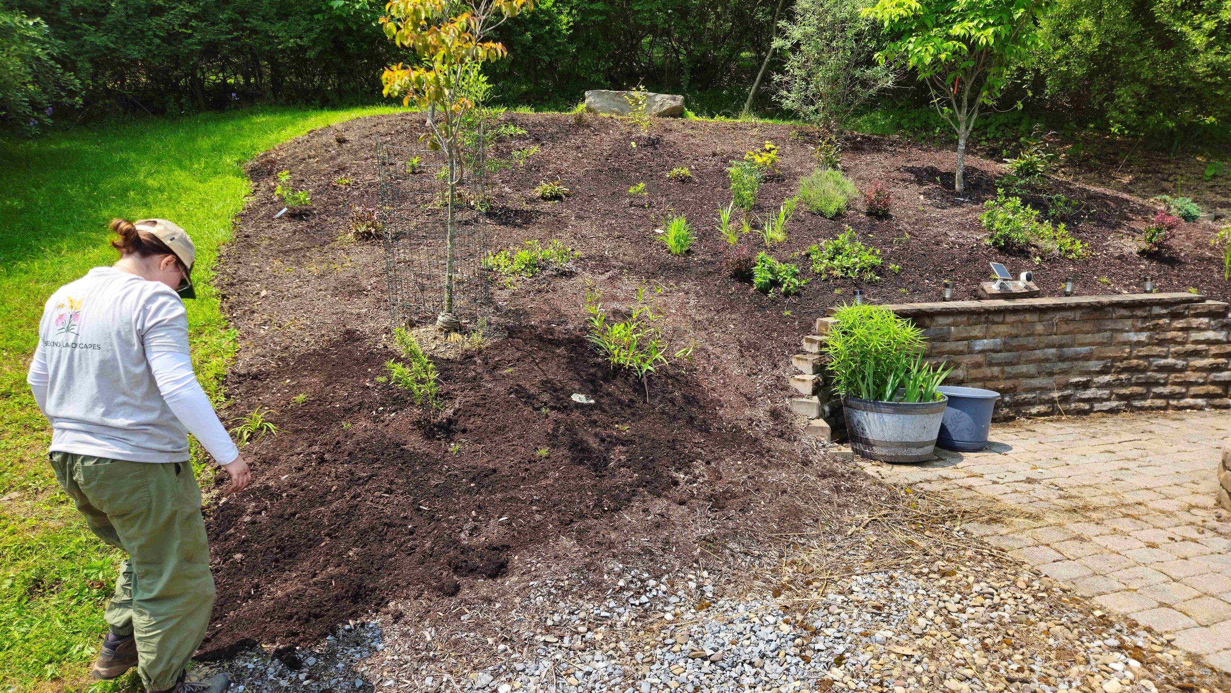 We work with what we’ve got.

Sites like this are a salesman’s dream and a crew lead’s nightmare—steep, dry, heavy deer pressure, and the remains of a prior (probably expensive) install that didn’t hold.

Instead of forcing a quick finished look, we 