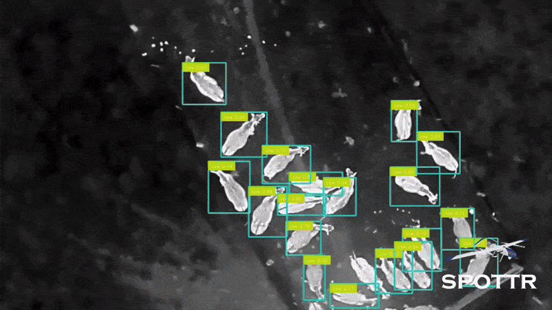 Untitleddesign11-ezgif.com-optimize (1).gif