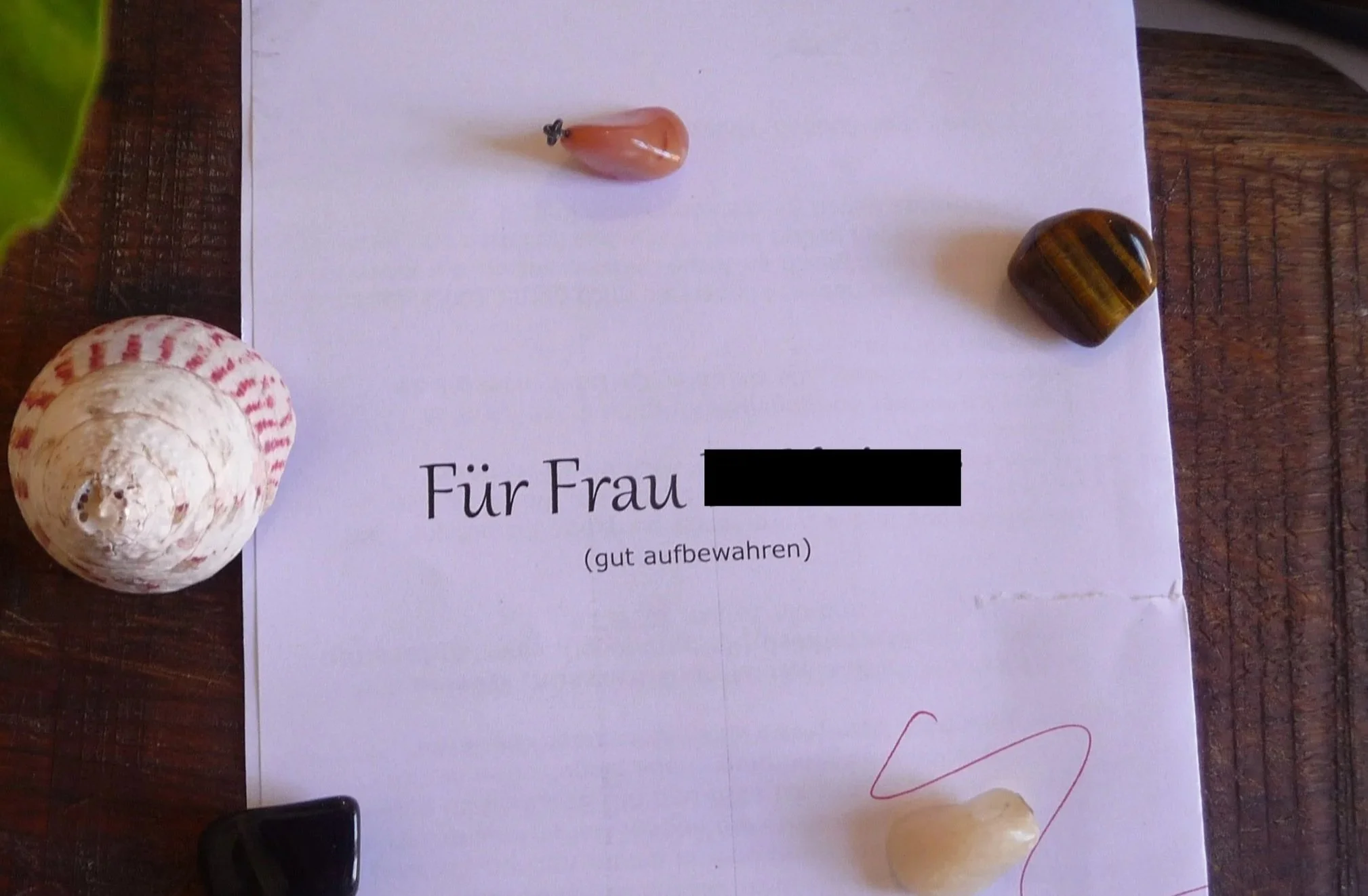 Logbuch: #4 Extrabotschaft für eine Dame