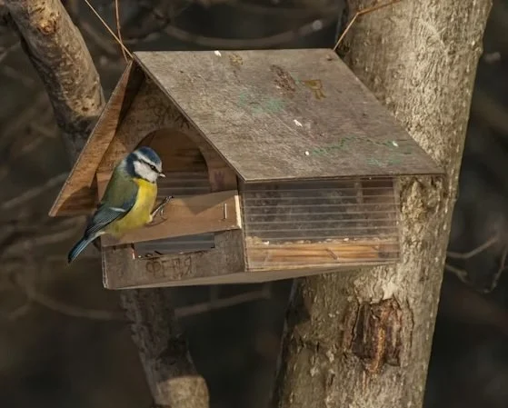 Logbuch: #9 Es ist angerichtet!