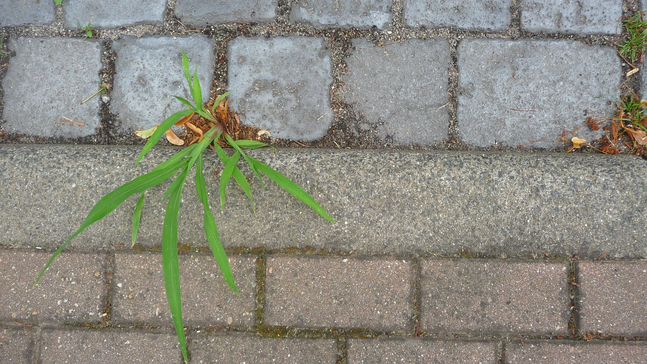 Logbuch: #13 Drei Tage Wacht