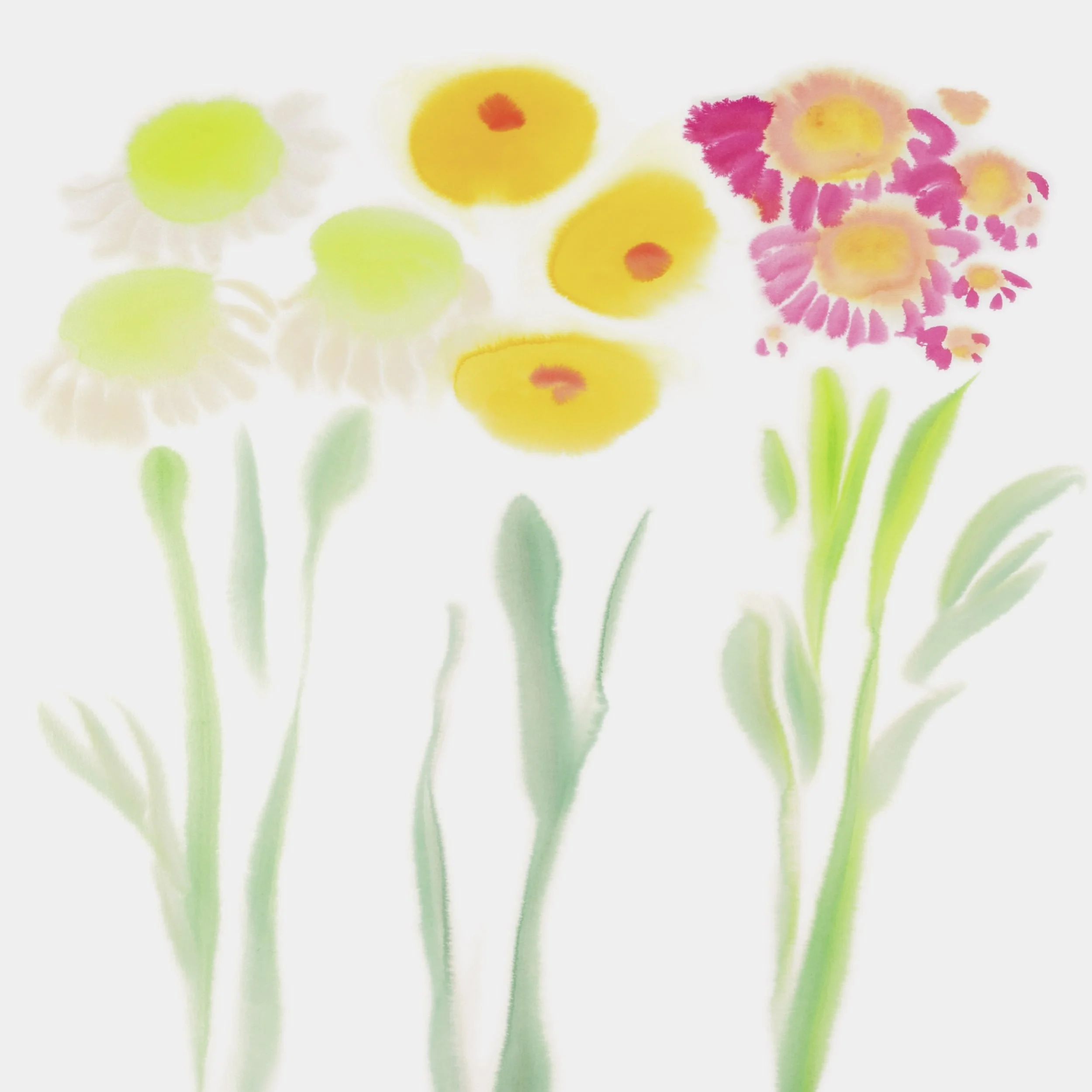 MLW-003AAA_Sunshine Meadow_Jaune-éch-50x50-BD.jpg