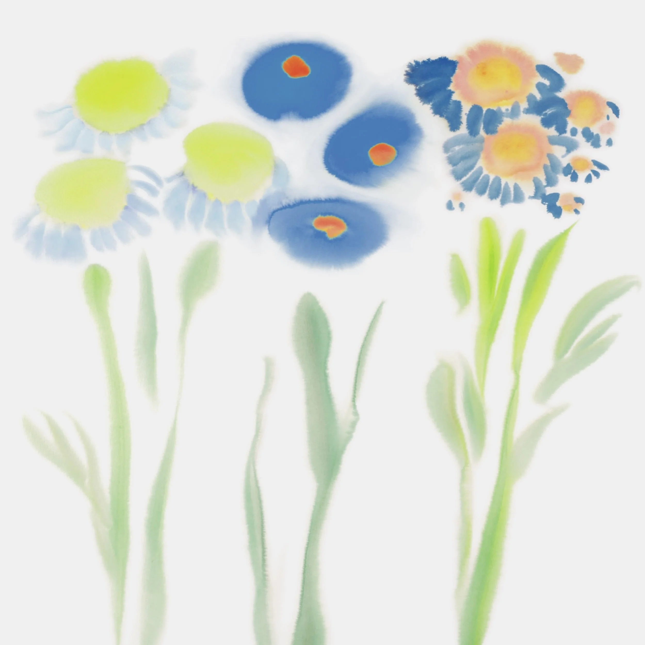 MLW-003BAA_Sunshine Meadow_bleu-éch-50x50-BD.jpg