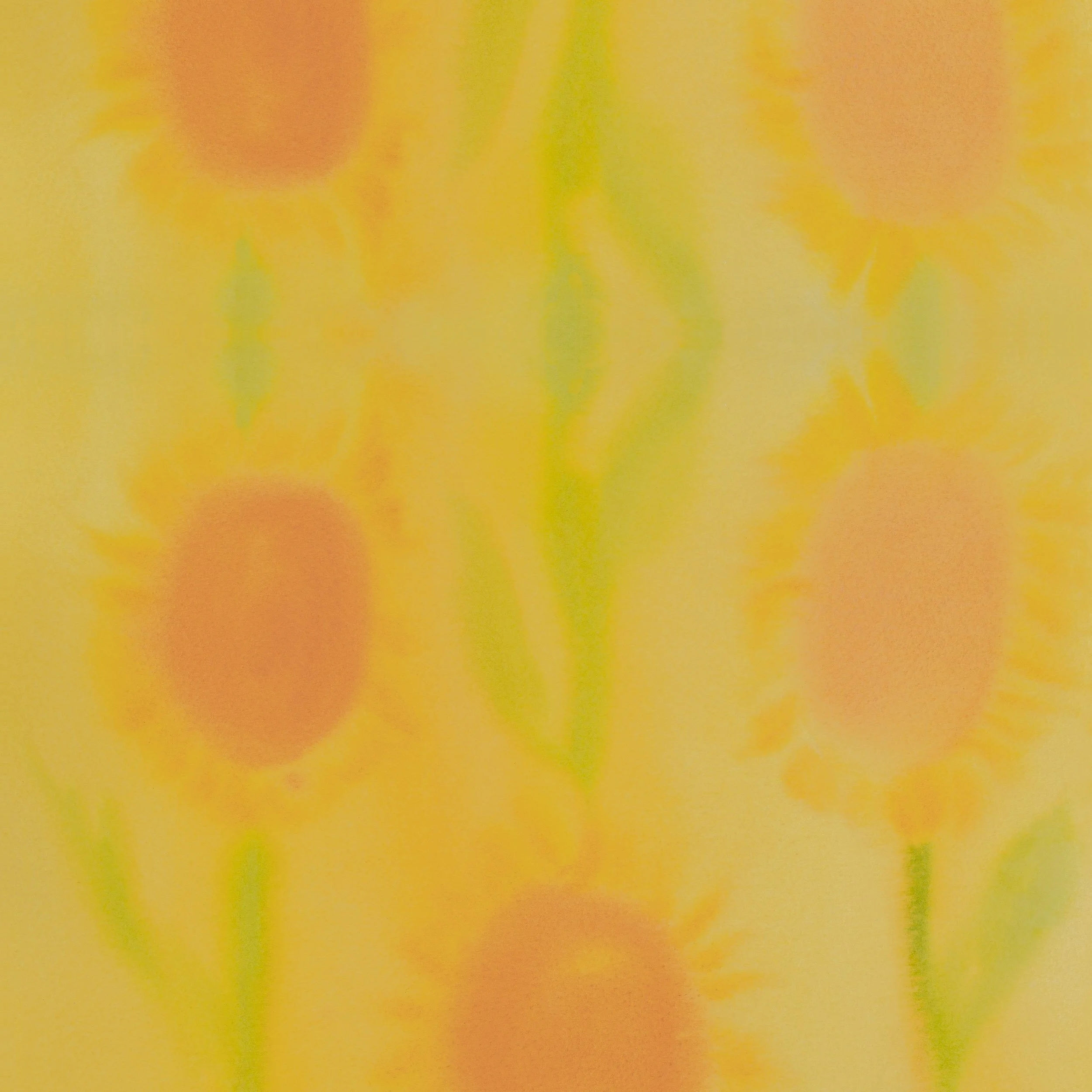 MLW-004AAA_Soft Sunflowers_jaune-éch-50x50-BD.jpg