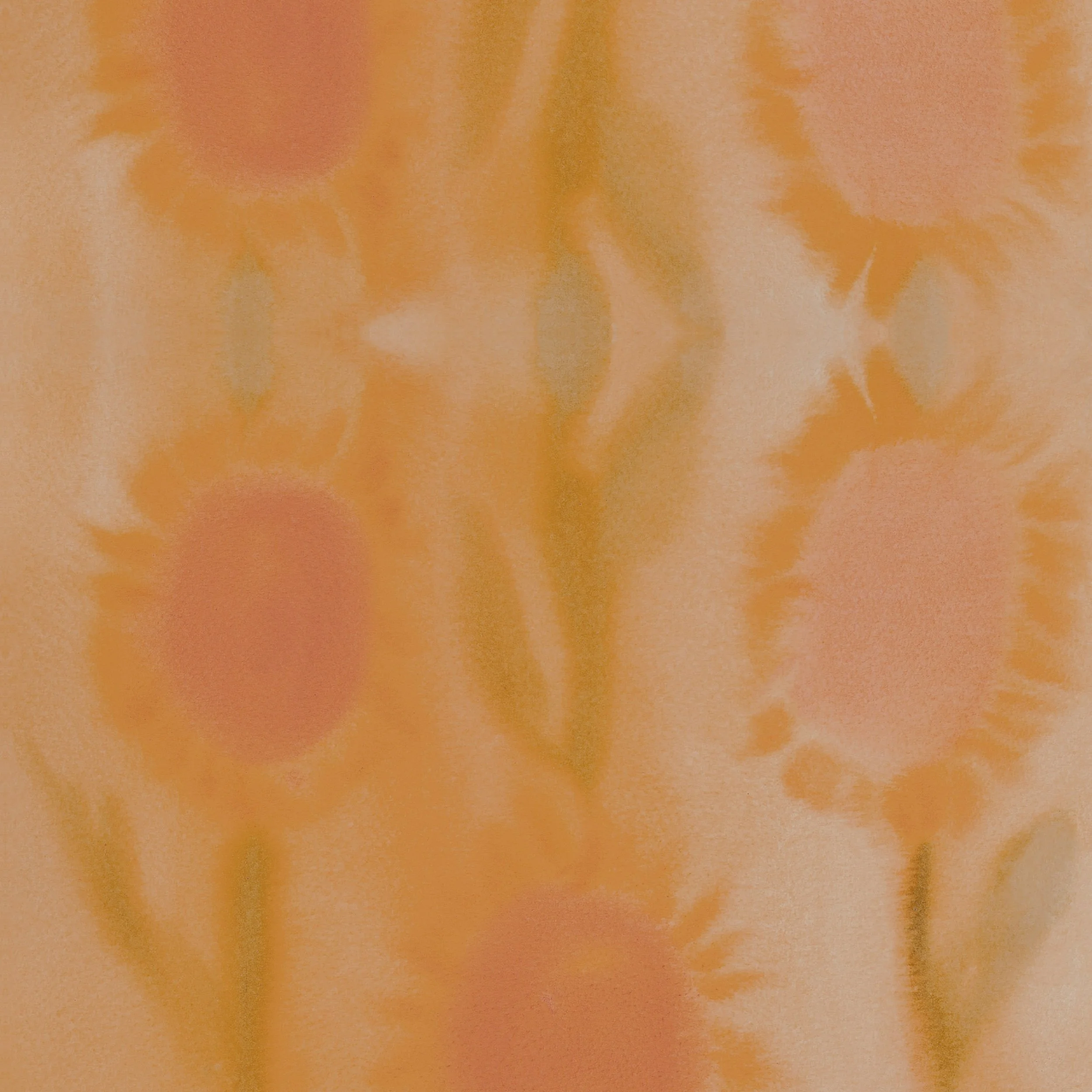 Soft Sunflowers by Grace Mattingly