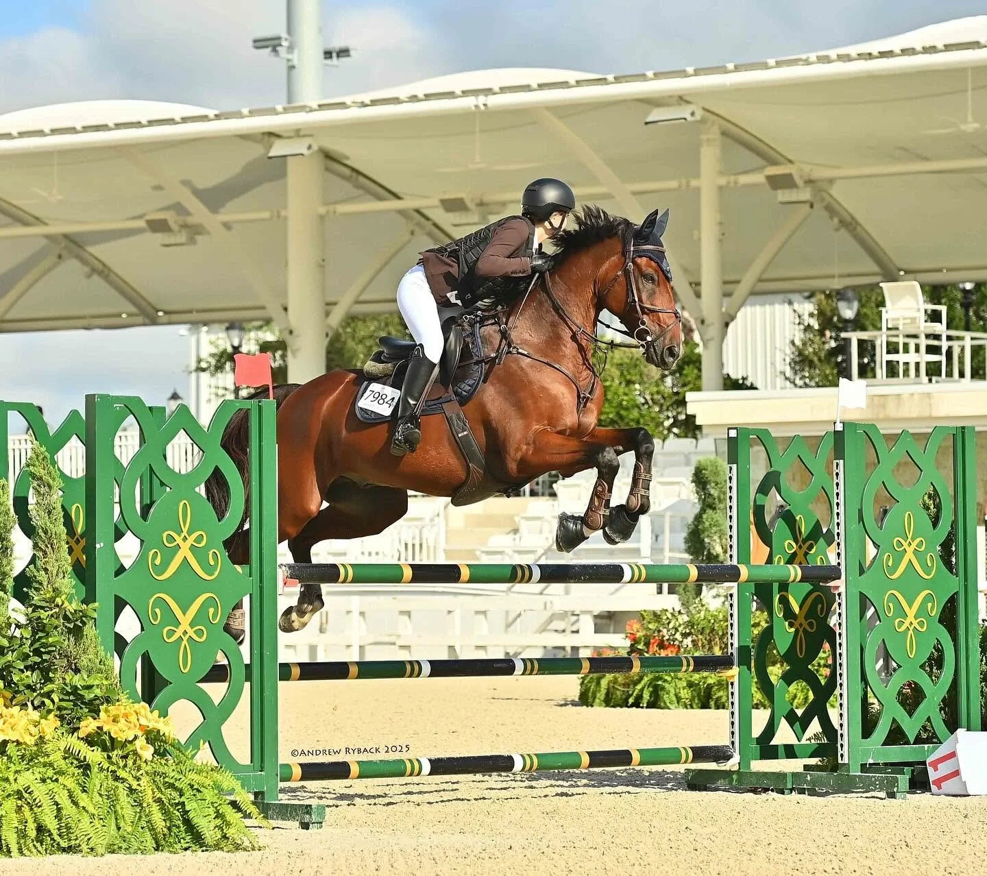 - Show jumping: Horse and rider competing in a show jumping class in Florida