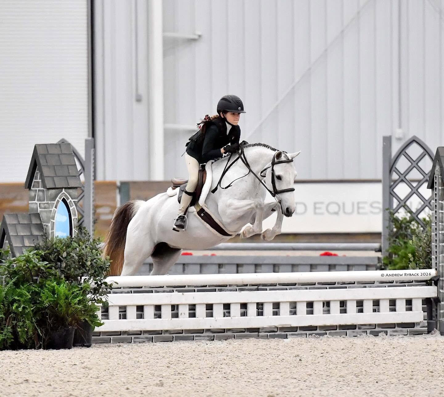- Show jumping: Horse and rider competing in a show jumping class in Florida