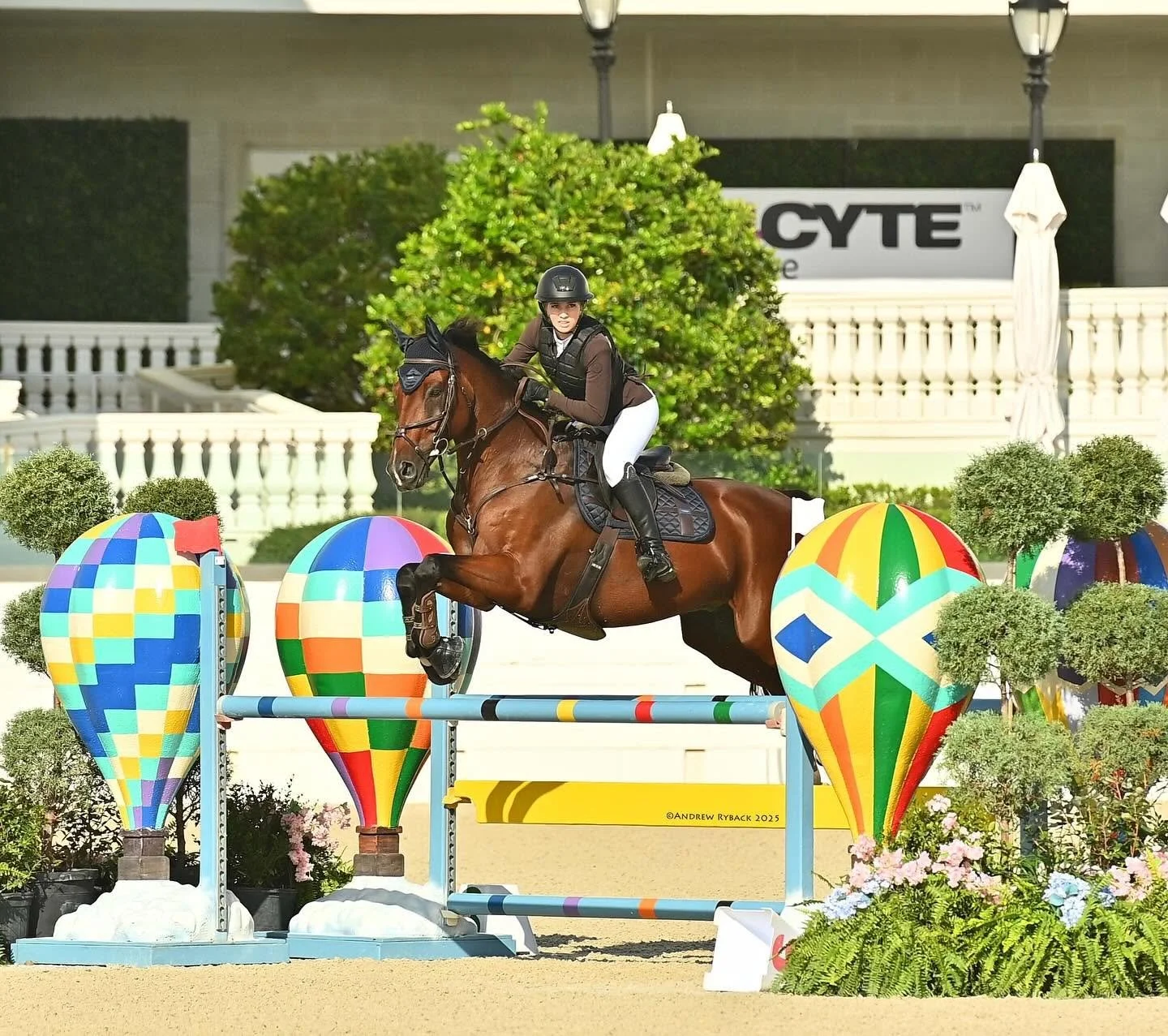 Hunter jumper from bradenton florida competeting at World Equestrian center ocala riding lessons
