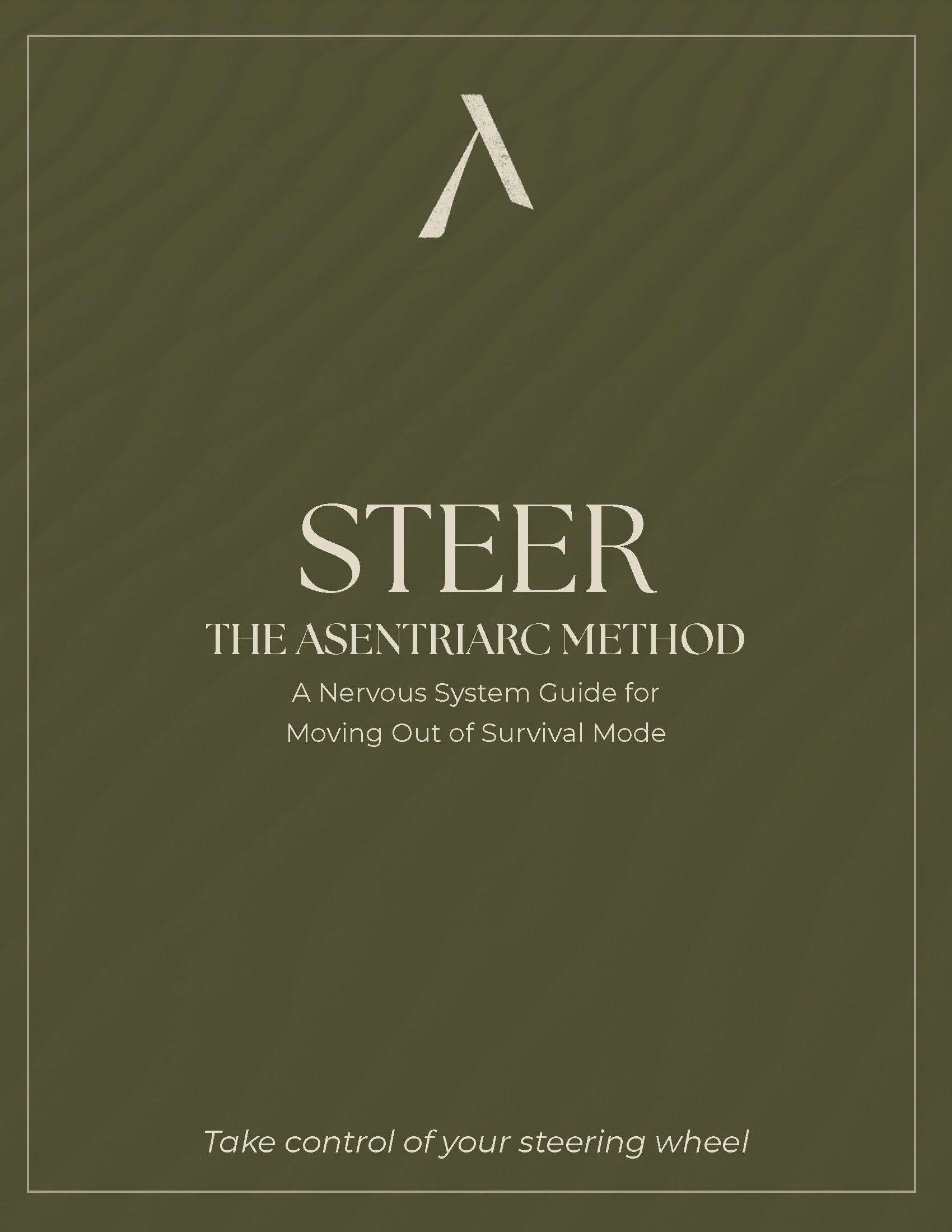 Graphic for the STEER Method
