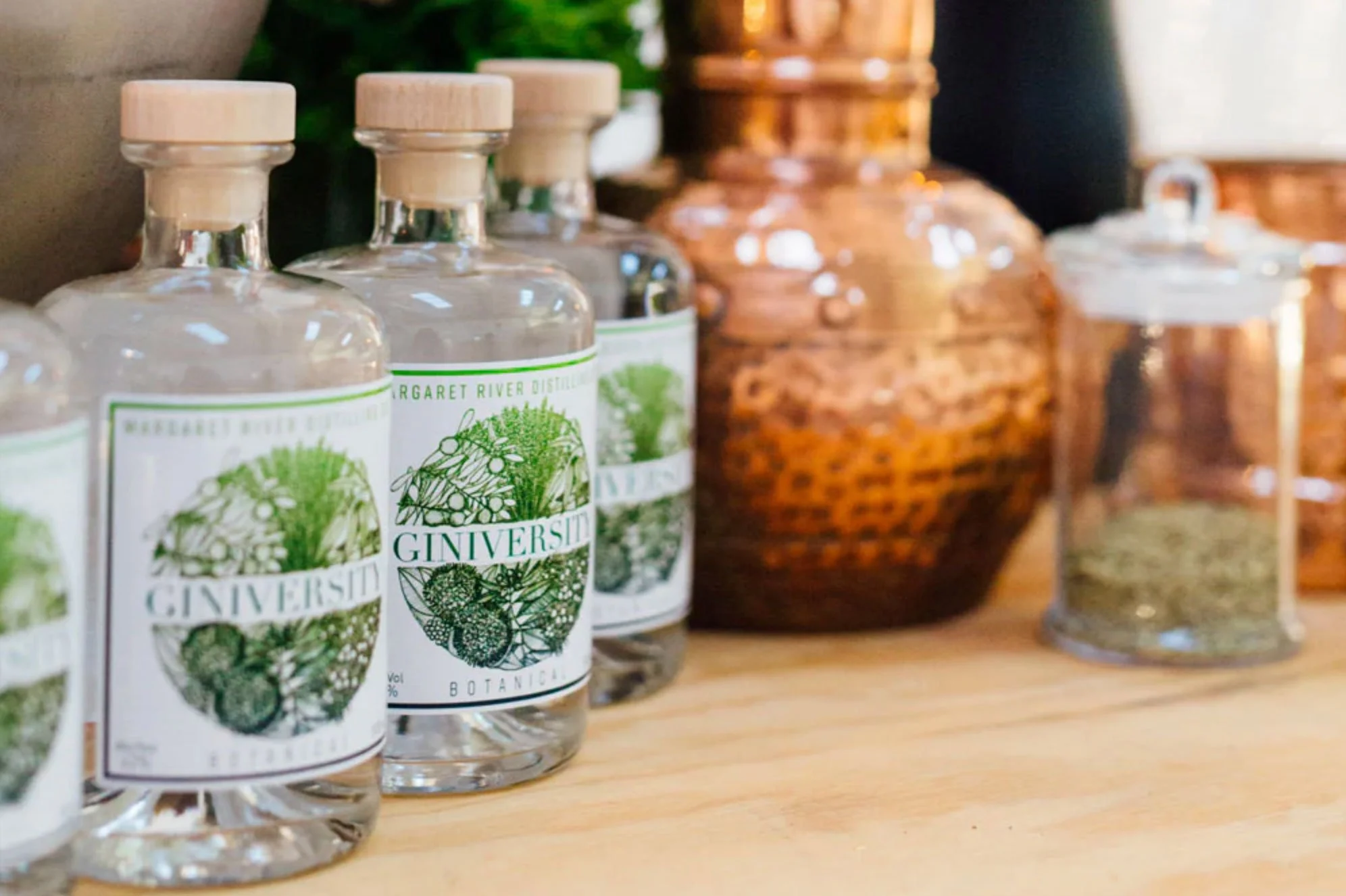 Giniversity-Distillery.jpg