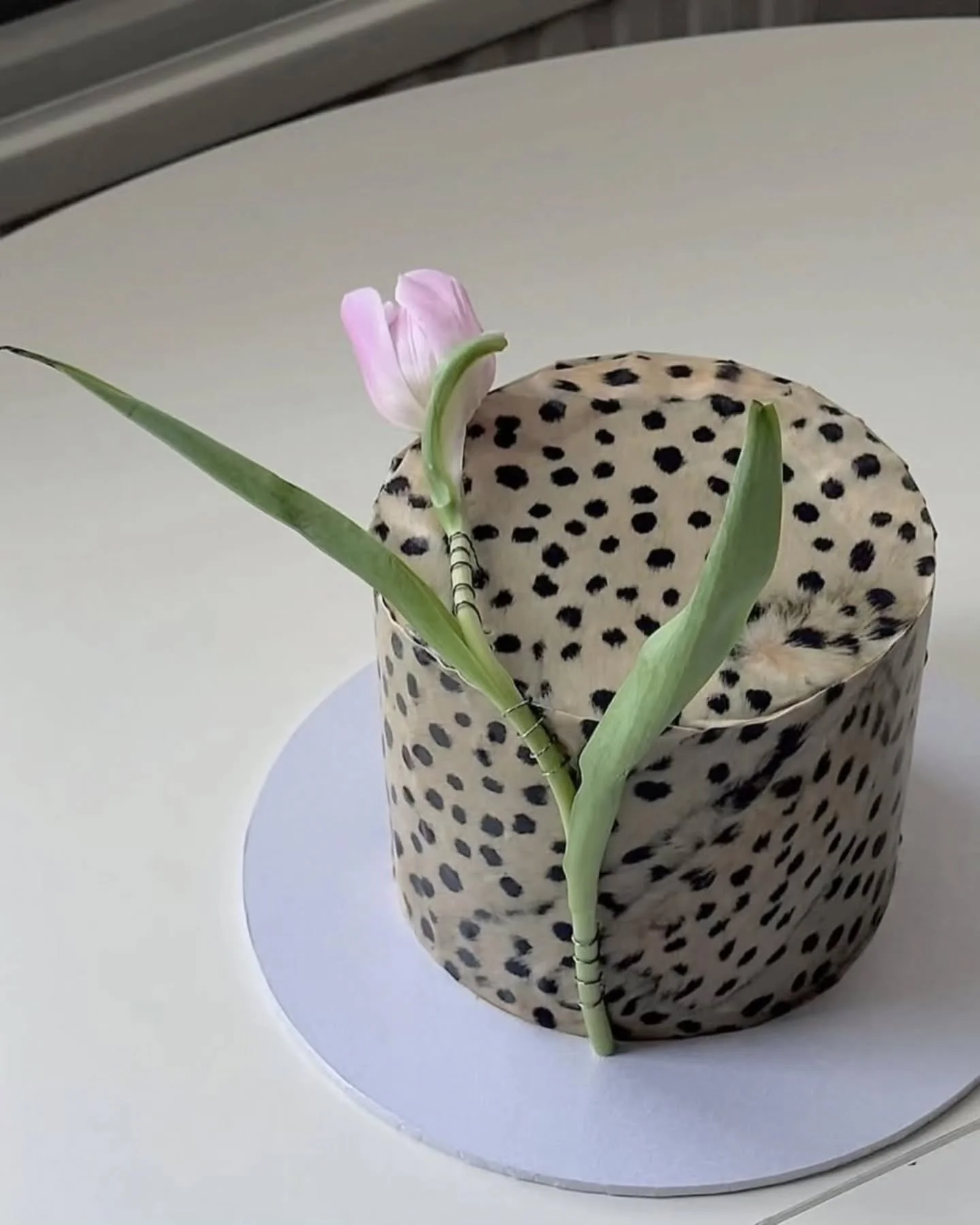 Loving this trend. Animal print cakes for 2027 weddings? Meow 😻 🦓🐆🐅

Book in a call to get started at www.felicitymarstudio.com or send me a DM! 🩷

#DestinationWeddingPlanner #LondonWeddingPlanner #IbizaWeddingPlanner