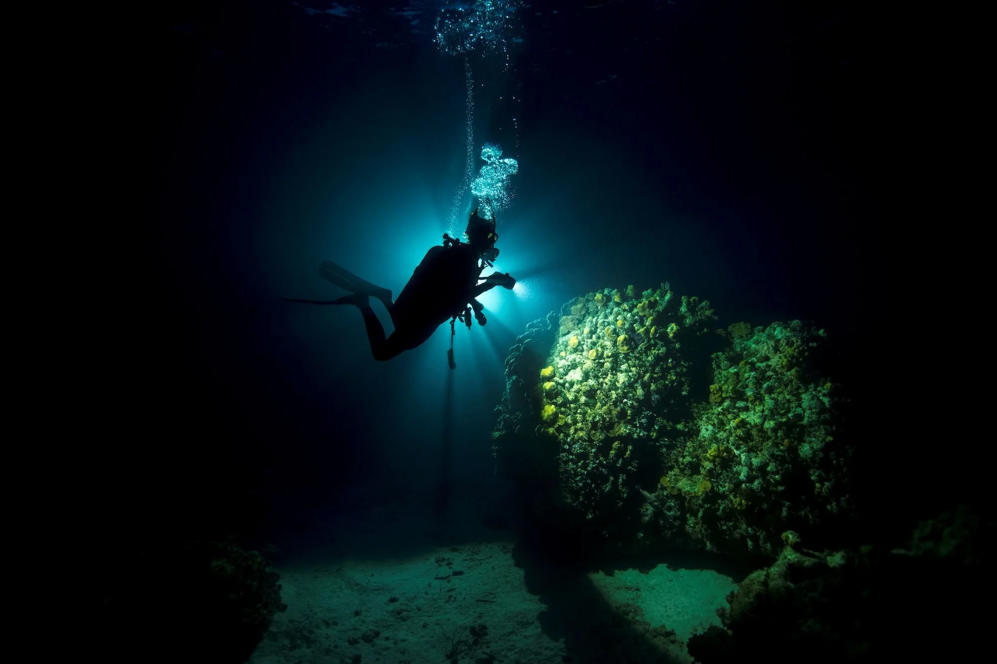 PADI Night Diver Course 2.jpg