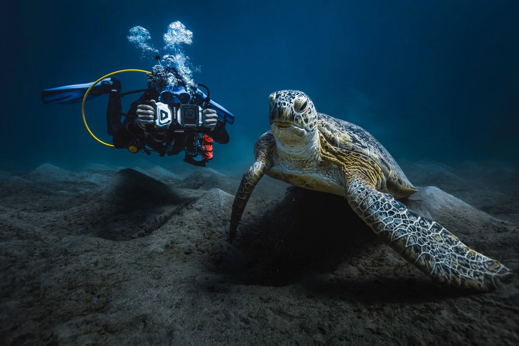 📸 Underwater Photography Skills: How to Take Better Photos on Every Dive