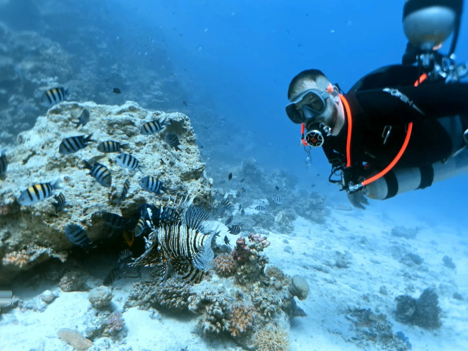 PADI Assistant Instructor Course in Littlehampton, West Sussex