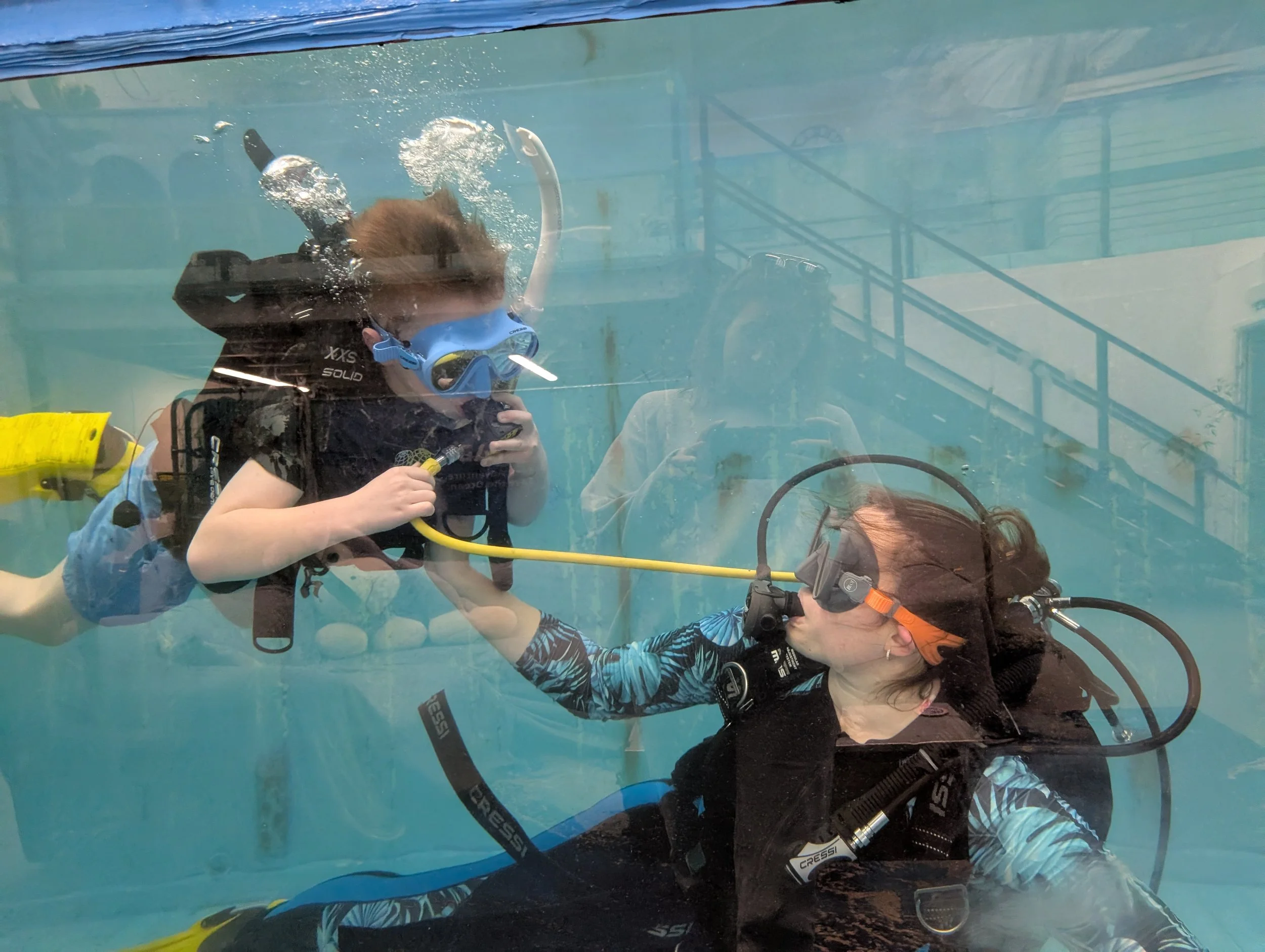in the pool at Littlehampton