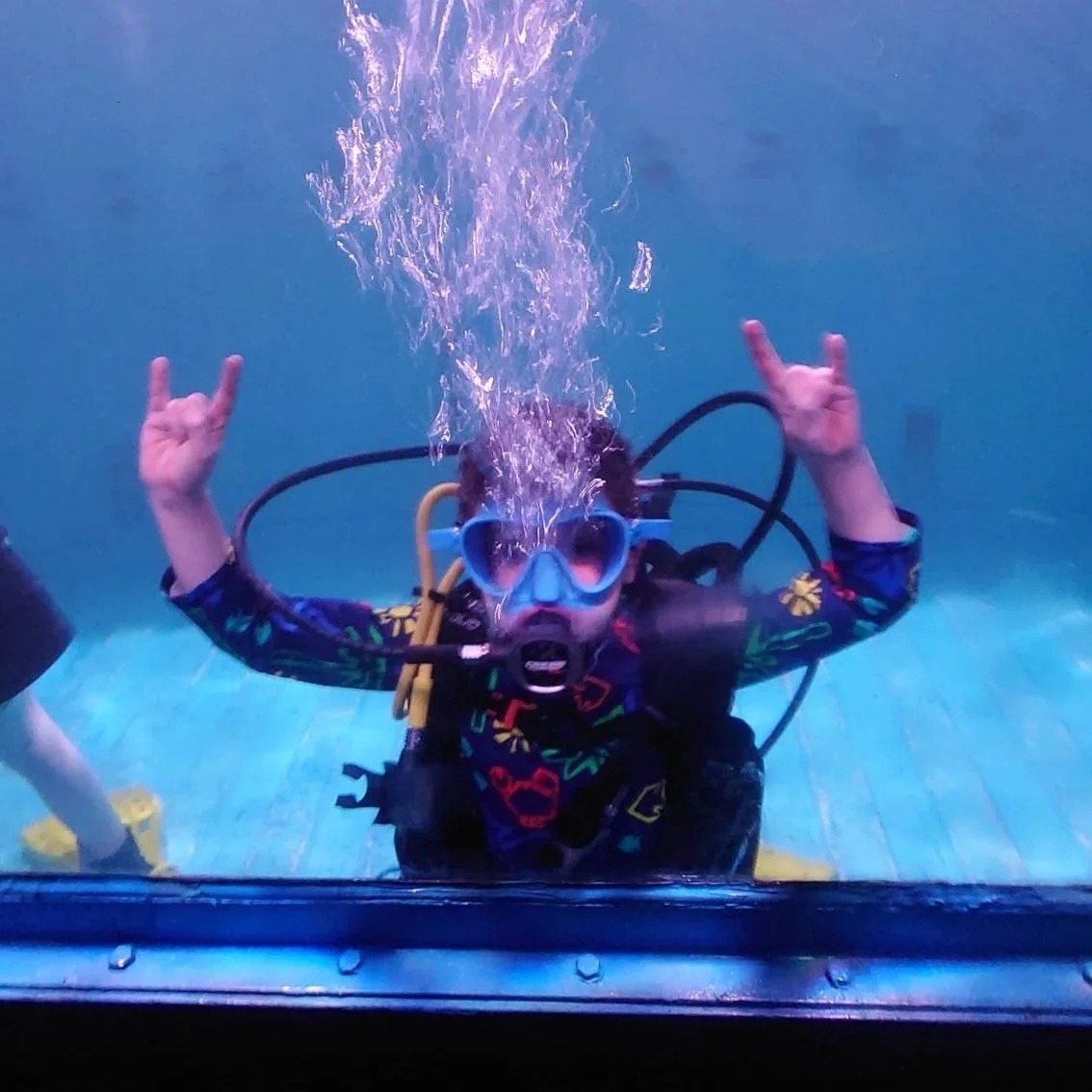 looking out the window from underwater