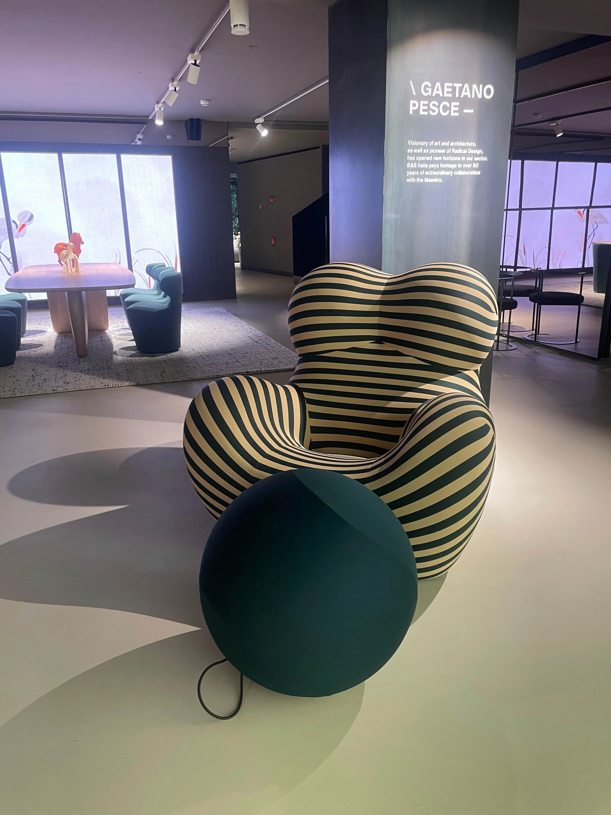 Imagen de WhatsApp 2025-02-05 a las 20.39.42_ab0e0030.jpg