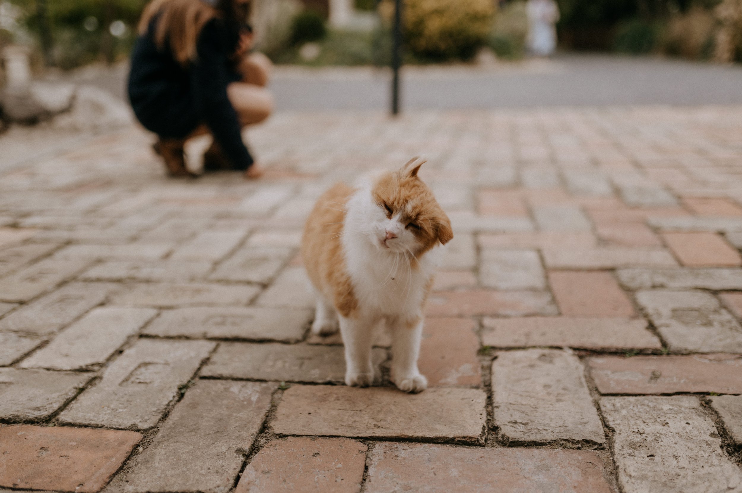 2025.10.10. - Blanka&Ákos-0550.jpeg