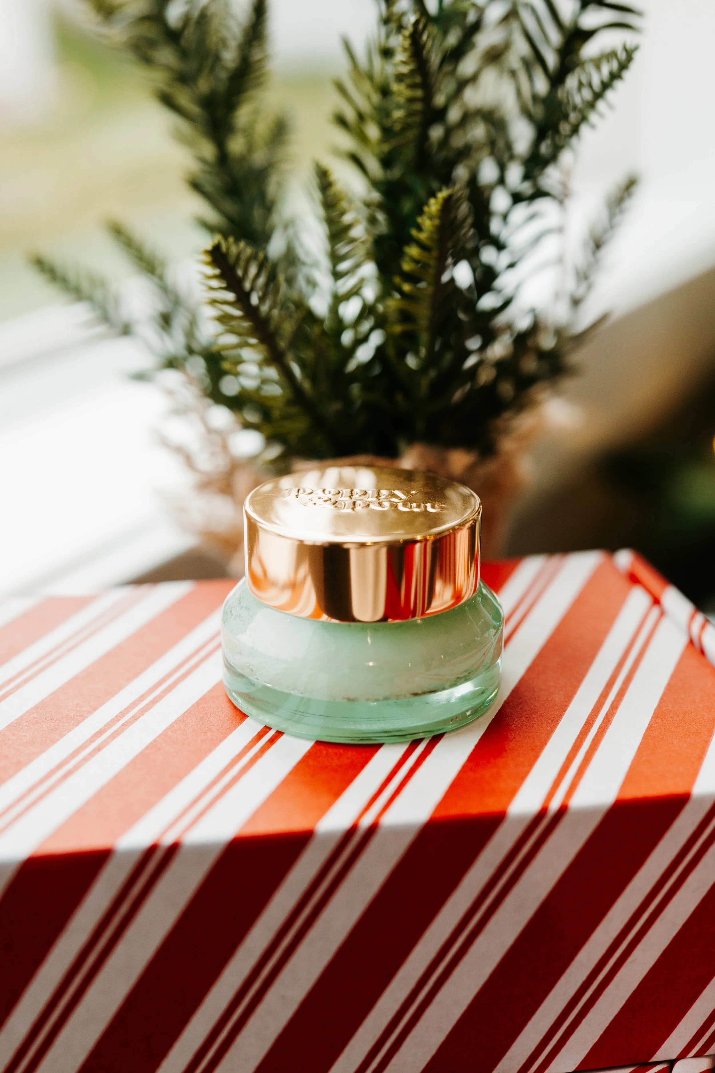 Thirty Two Main Holiday Bundles-30.jpg