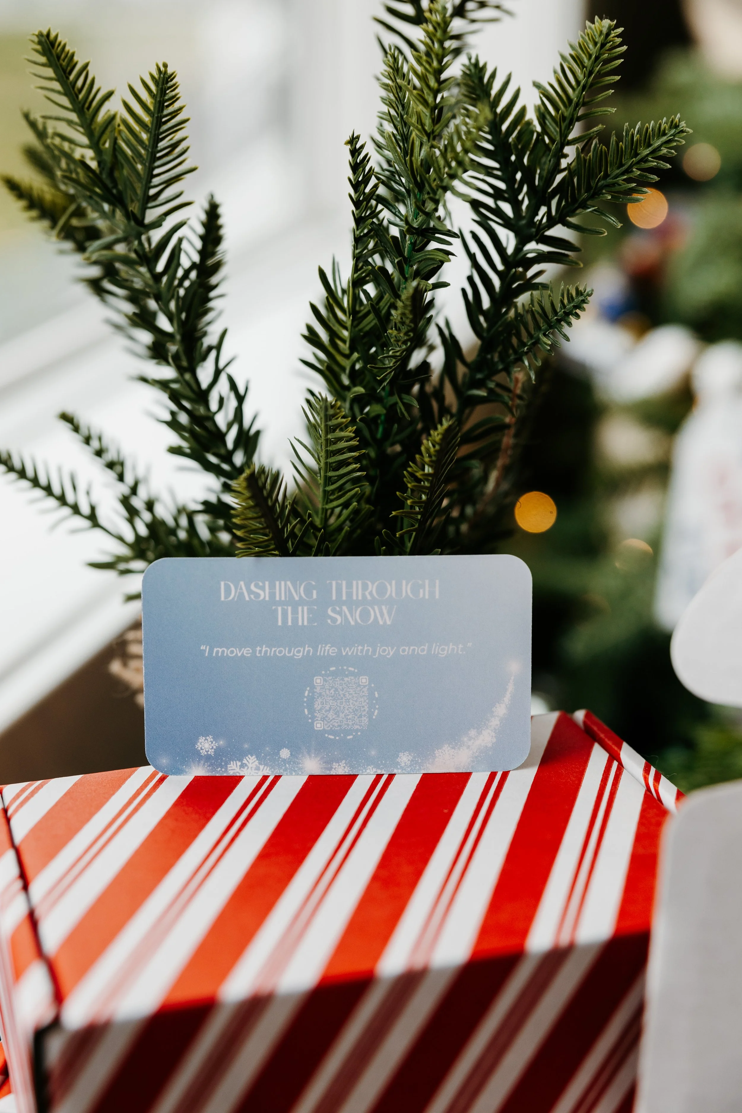 Thirty Two Main Holiday Bundles-40.jpg