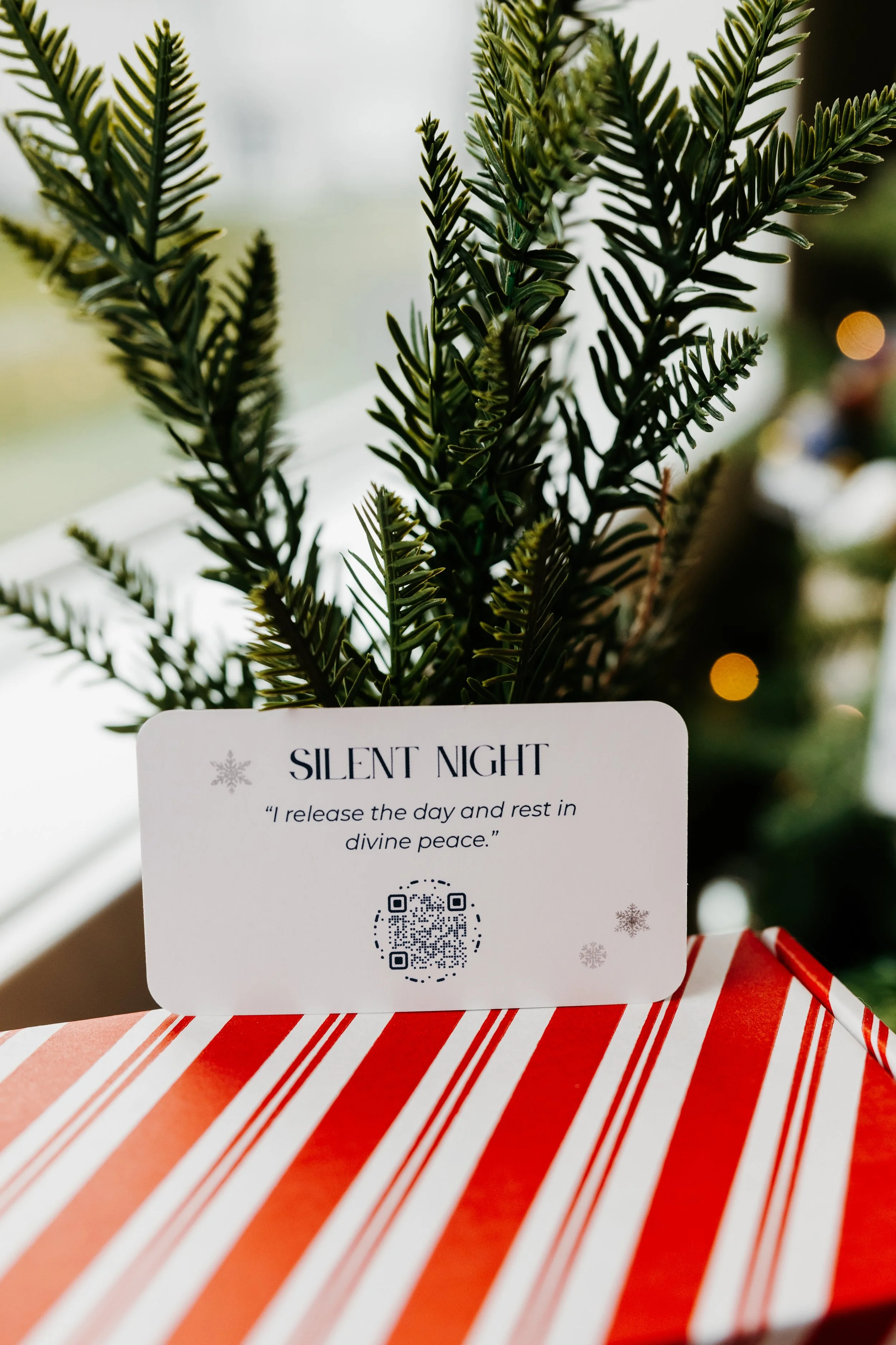 Thirty Two Main Holiday Bundles-17.jpg