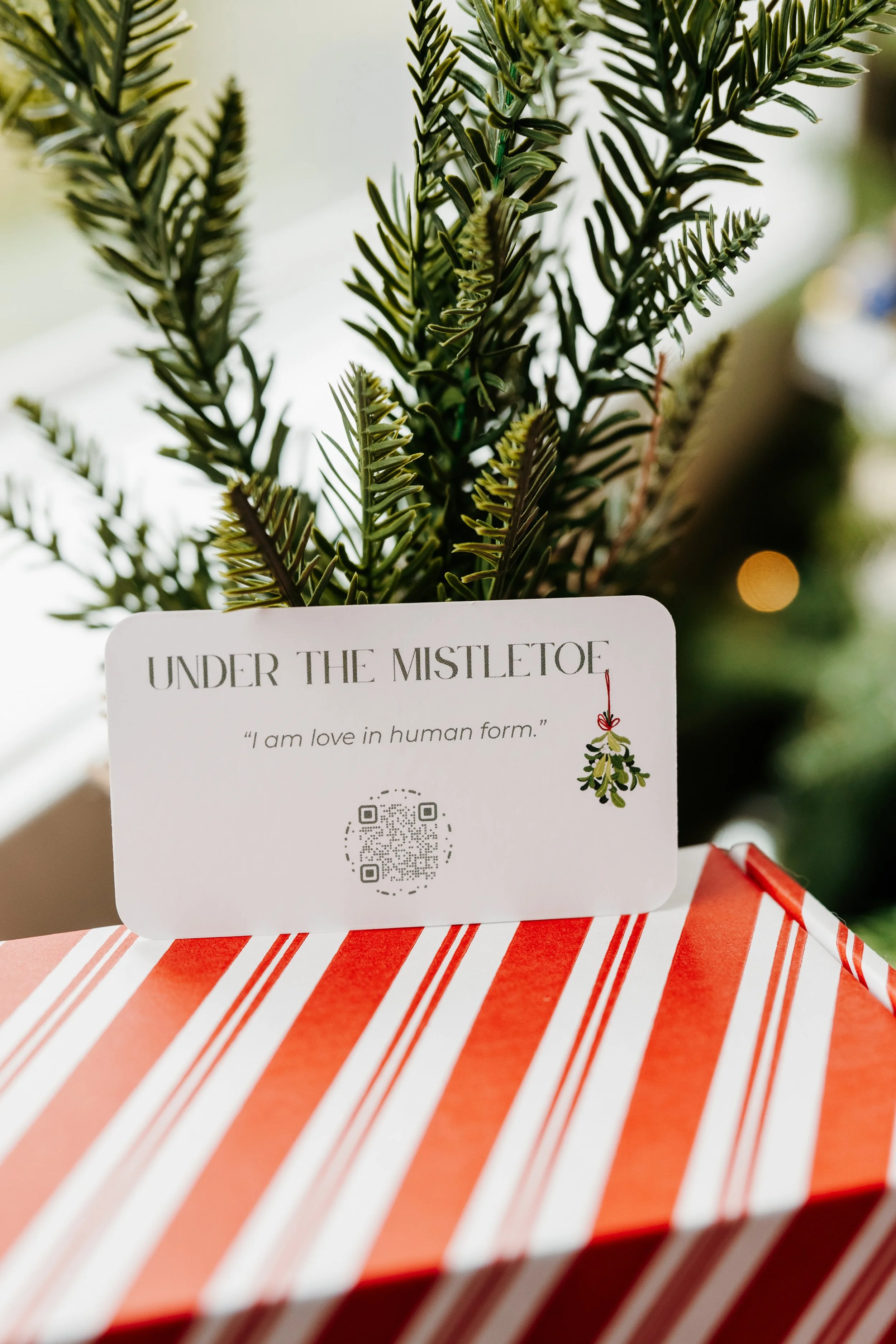 Thirty Two Main Holiday Bundles-33.jpg