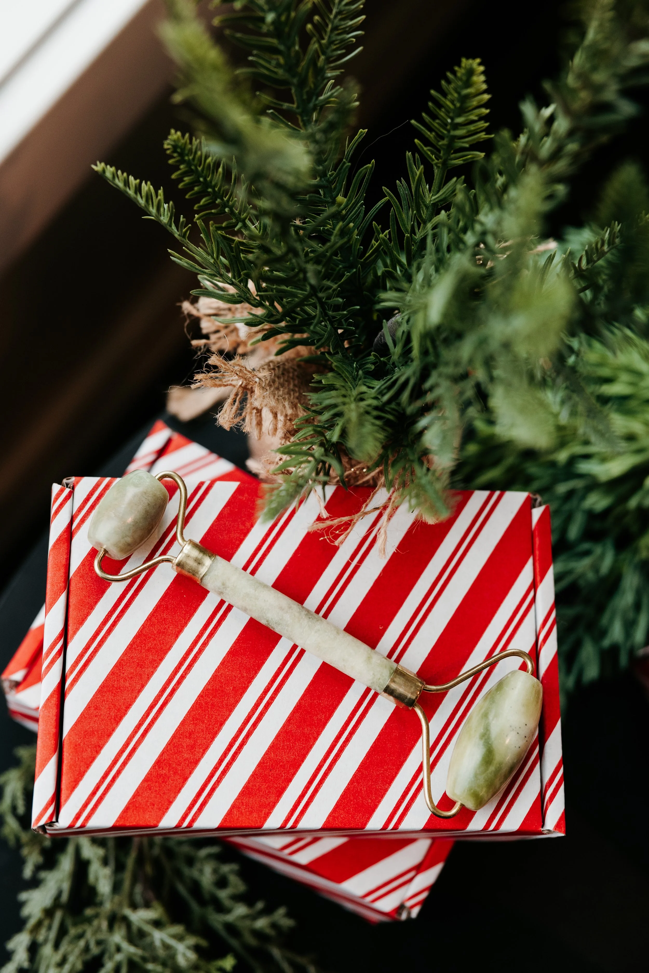 Thirty Two Main Holiday Bundles-60.jpg