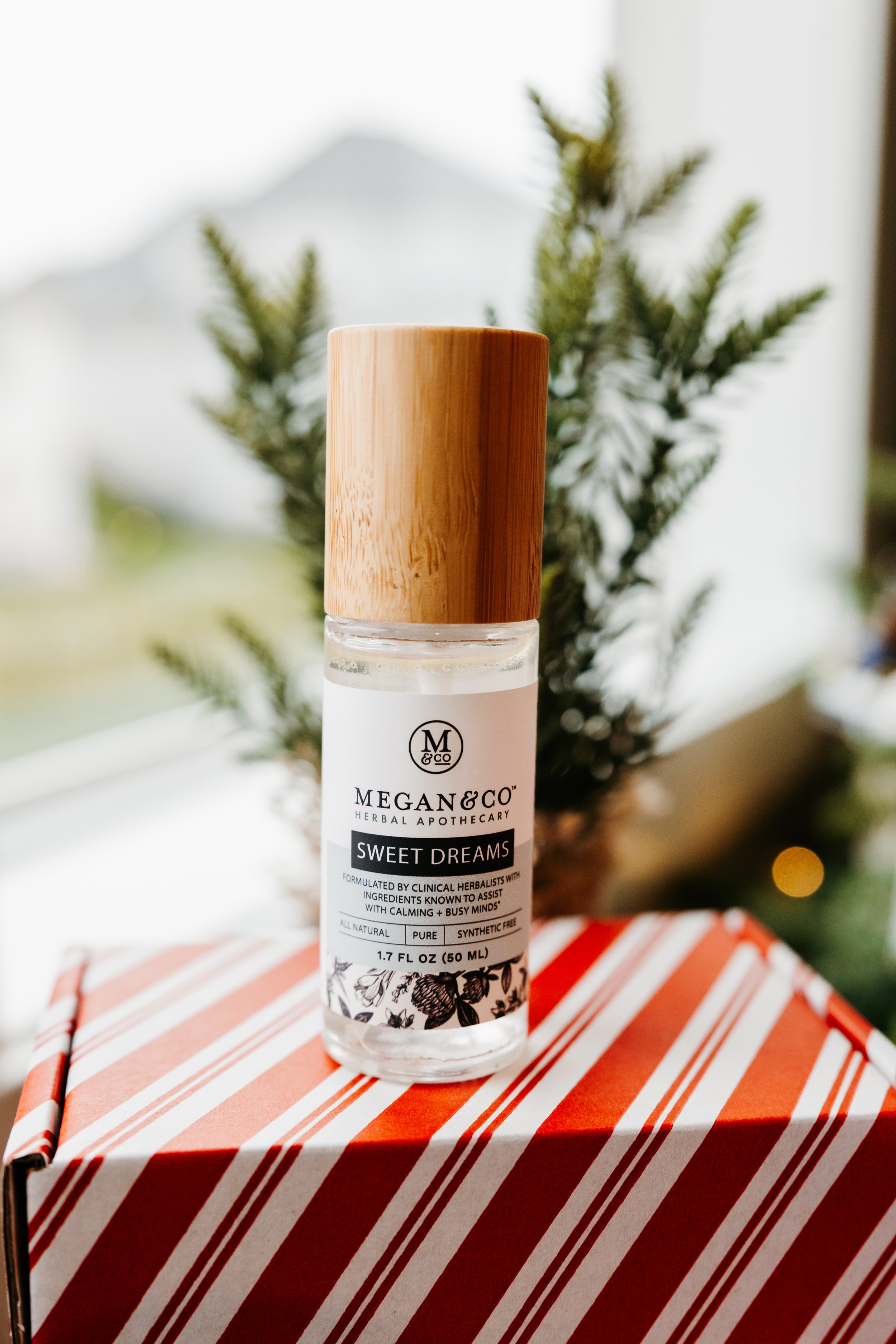 Thirty Two Main Holiday Bundles-14.jpg