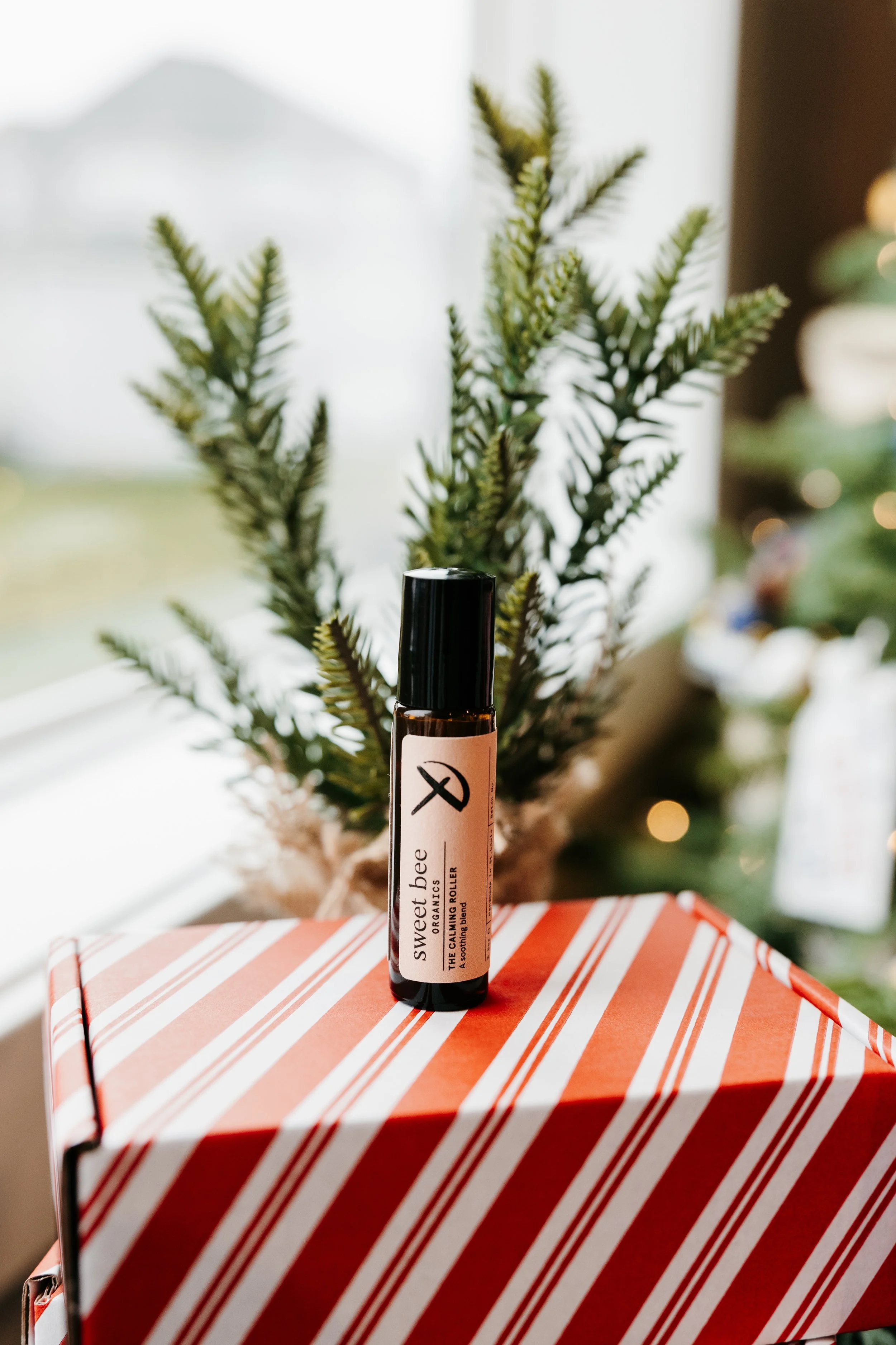 Thirty Two Main Holiday Bundles-13.jpg