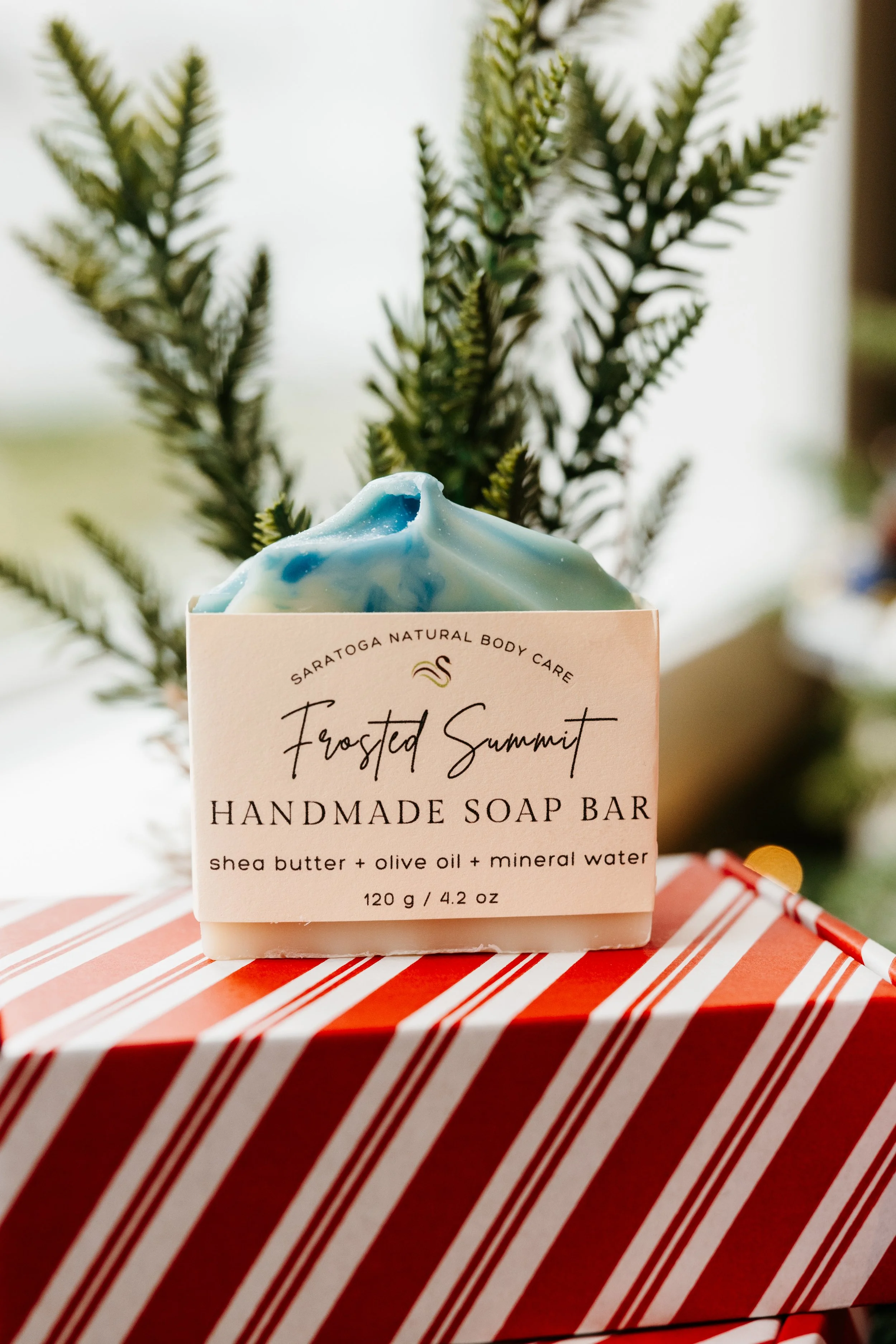 Thirty Two Main Holiday Bundles-55.jpg