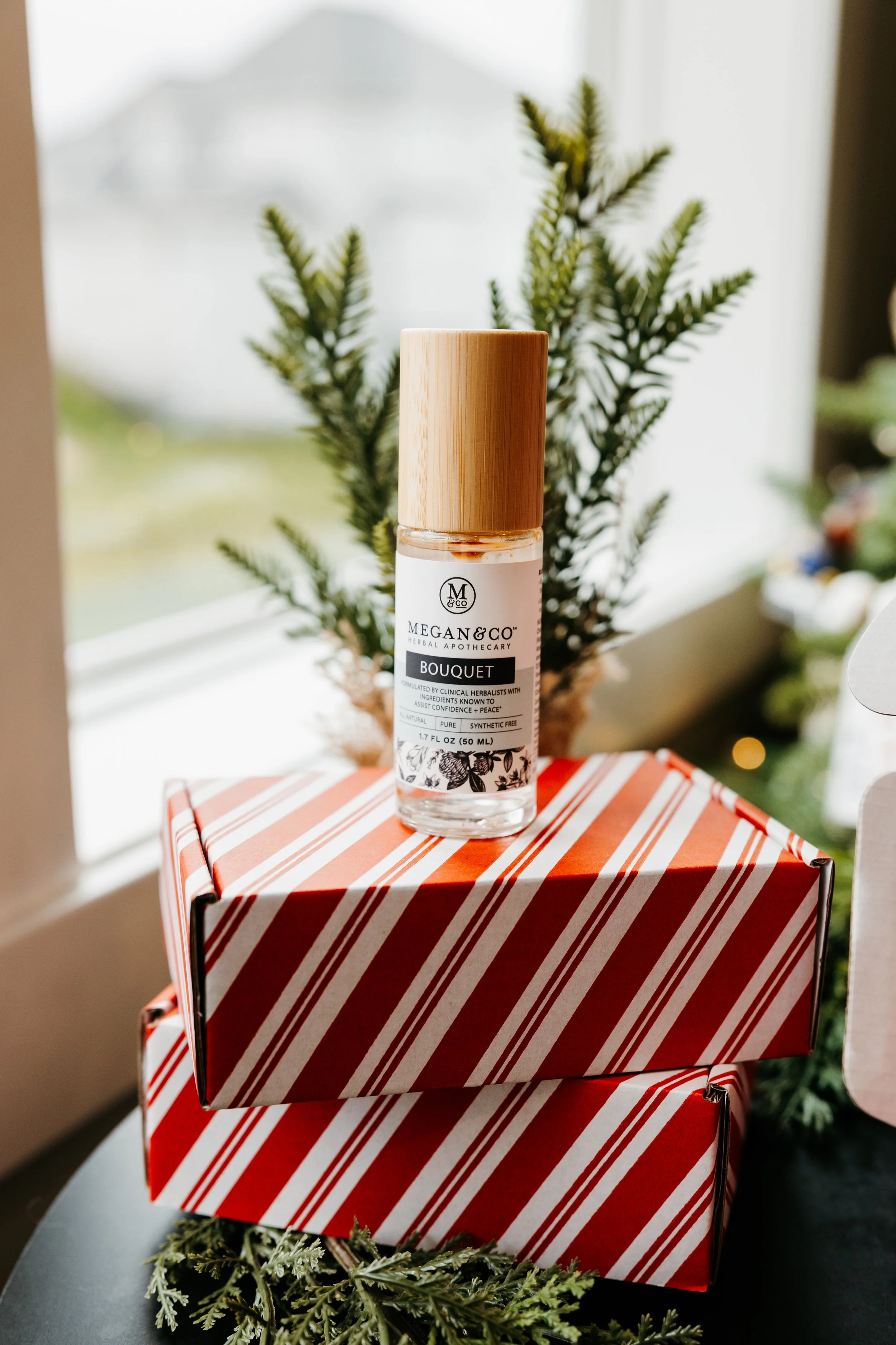 Thirty Two Main Holiday Bundles-31.jpg