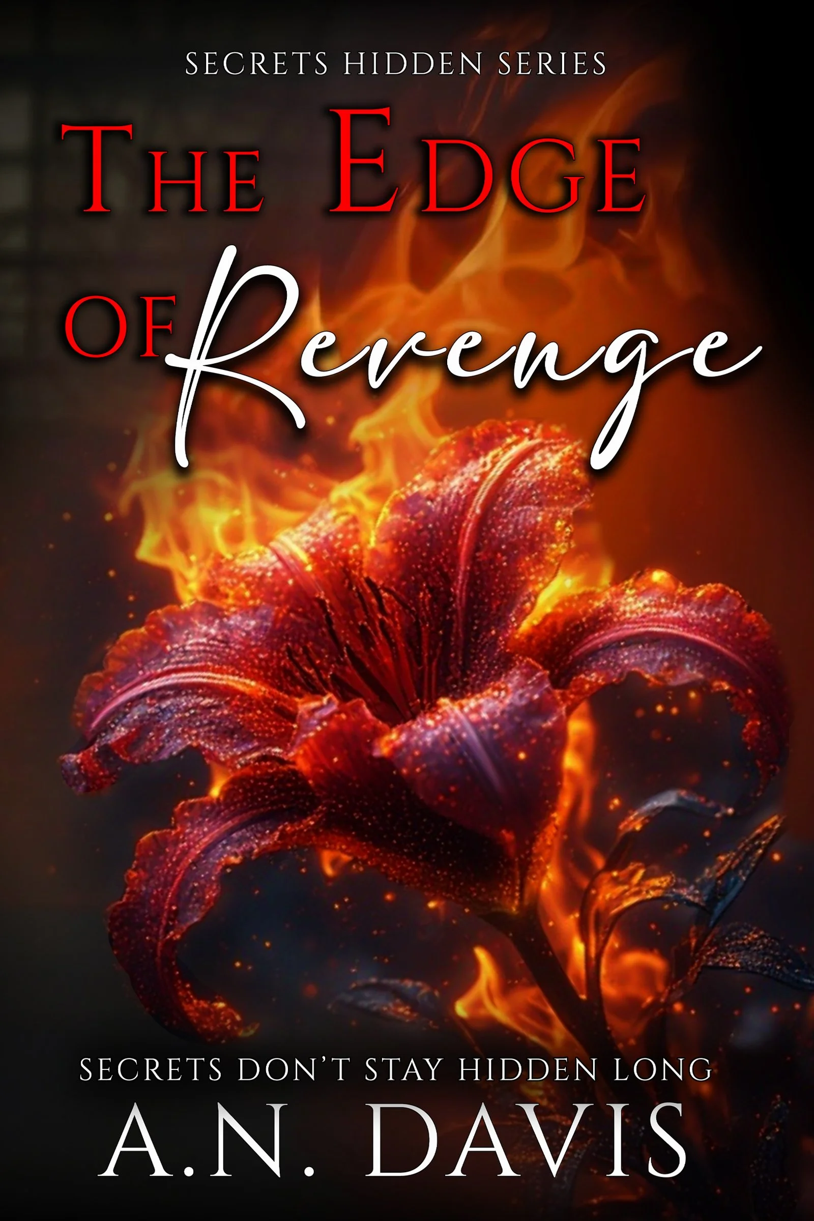 Revenge Ebook Cover.jpg