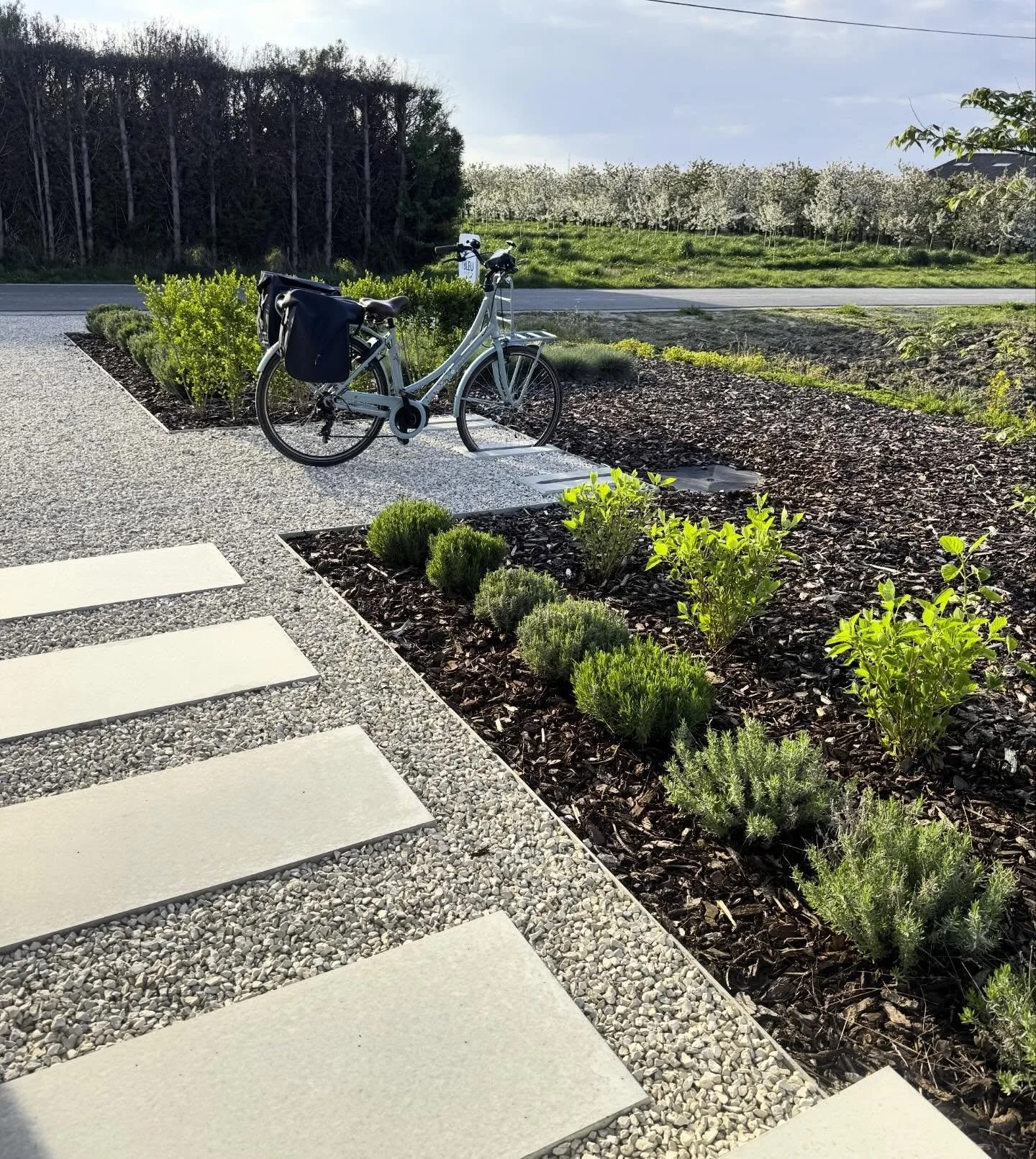 Met de fiets naar de schoonheidsspecialiste tussen de bloesems 🙌🏽🩵 Fantastisch.