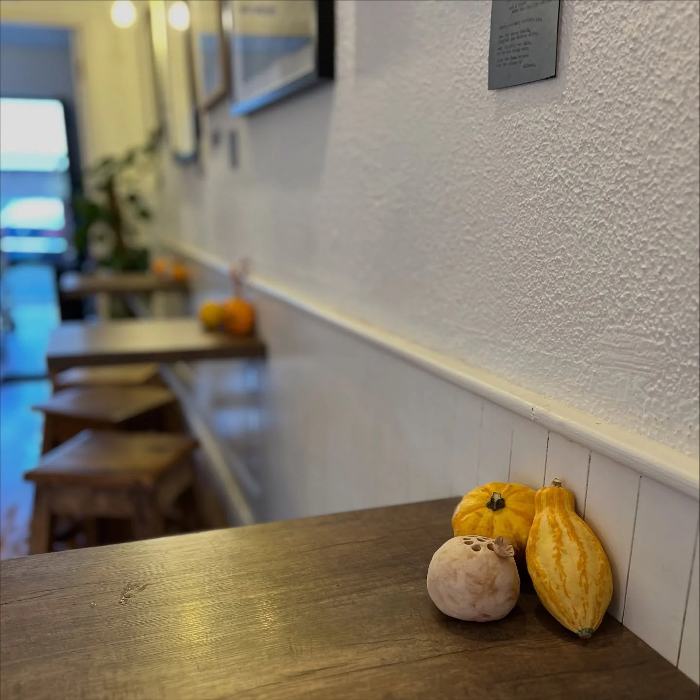 🧙HALLOWEEN WEEK | HOURS👻
We’ll be open as usual all week, including Friday & Bank Holiday Monday! 
Still plenty of pumpkins free to good homes before the weekend too 🎃
#halloween #pumpkin #cafe #bankholiday #coffeetime