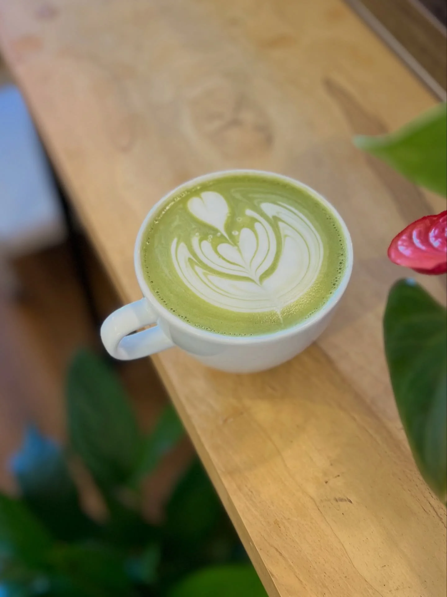 🍀 P A N D A N | M A T C H A 🍀

Pandan is a tropical plant used in Southeast Asian cuisine, with a nutty aroma and beautifully smooth sweetness. 

Our house made pandan syrup works perfectly in both hot and iced matcha, and is on our specials menu f