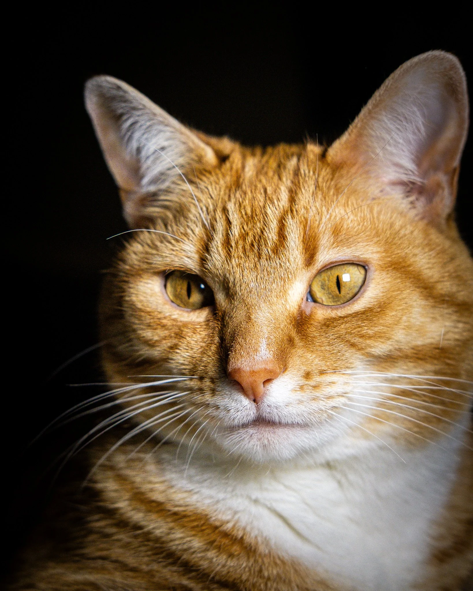 DSCF3150.jpg