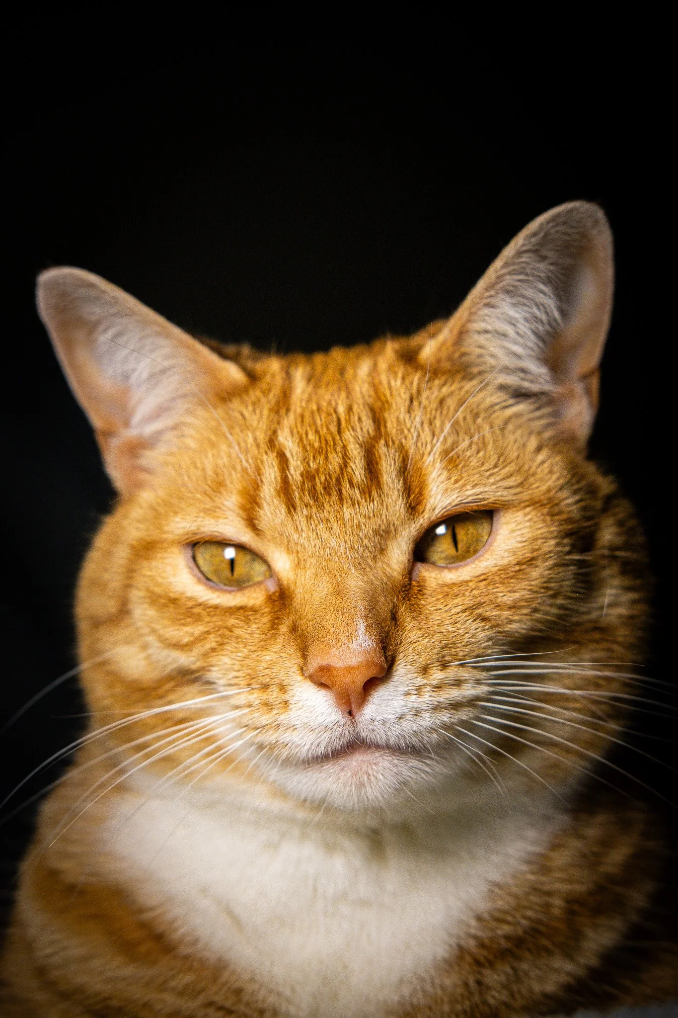 DSCF3153.jpg