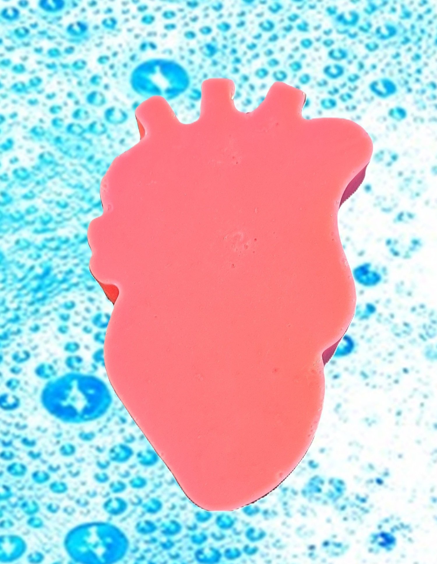 Back Large - Square.jpg