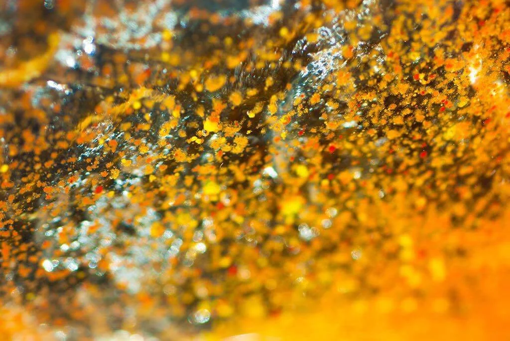 Fotografia fine art com textura dourada e reflexos metálicos — arte abstrata de Alexandre Horta e Silva que evoca luz, matéria e movimento.