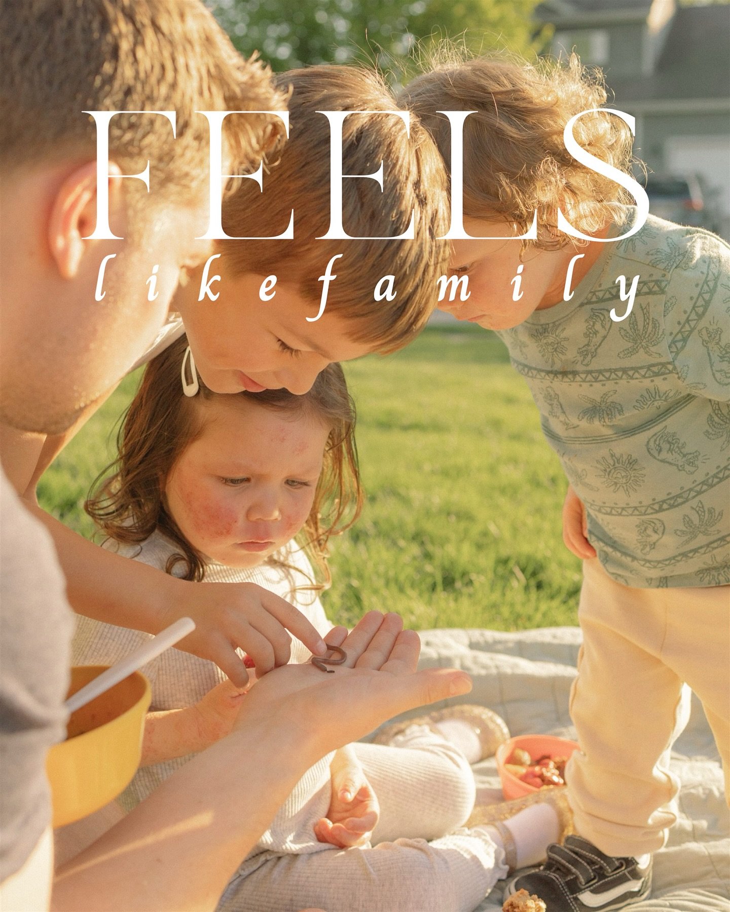beyond excited to announce that along with some of my photos included, I was also featured as an &lsquo;artist of the season&rsquo; in the @feels__likefamily spring journal 🥹 I&rsquo;m continually blown away by the talent and creativity of the other
