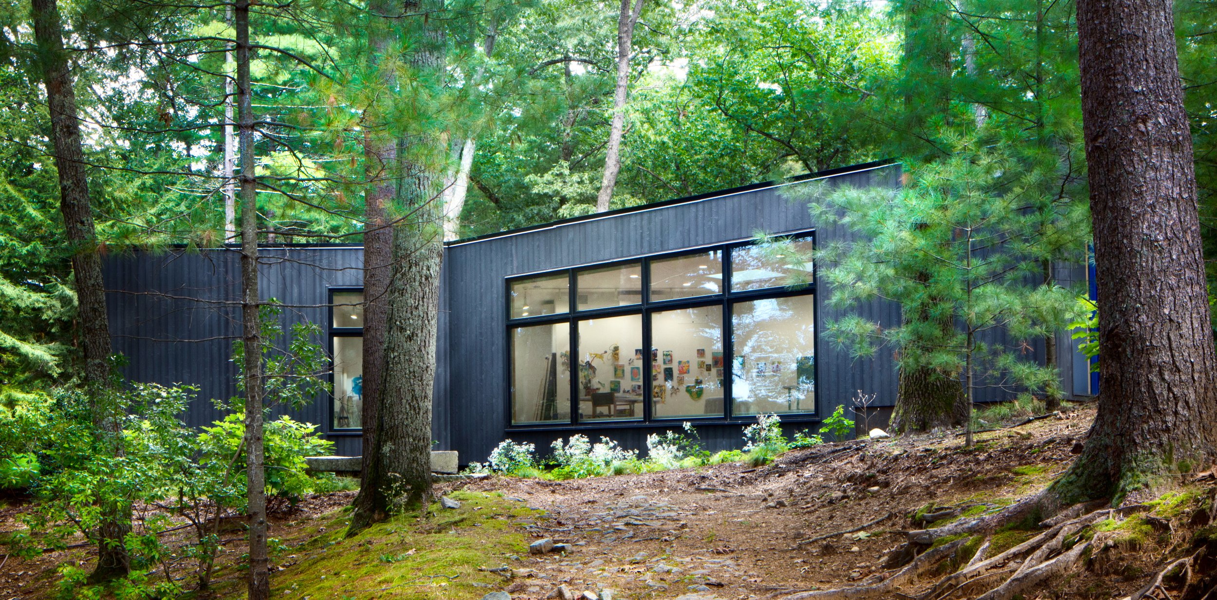 Art Studio Through the Trees.jpeg