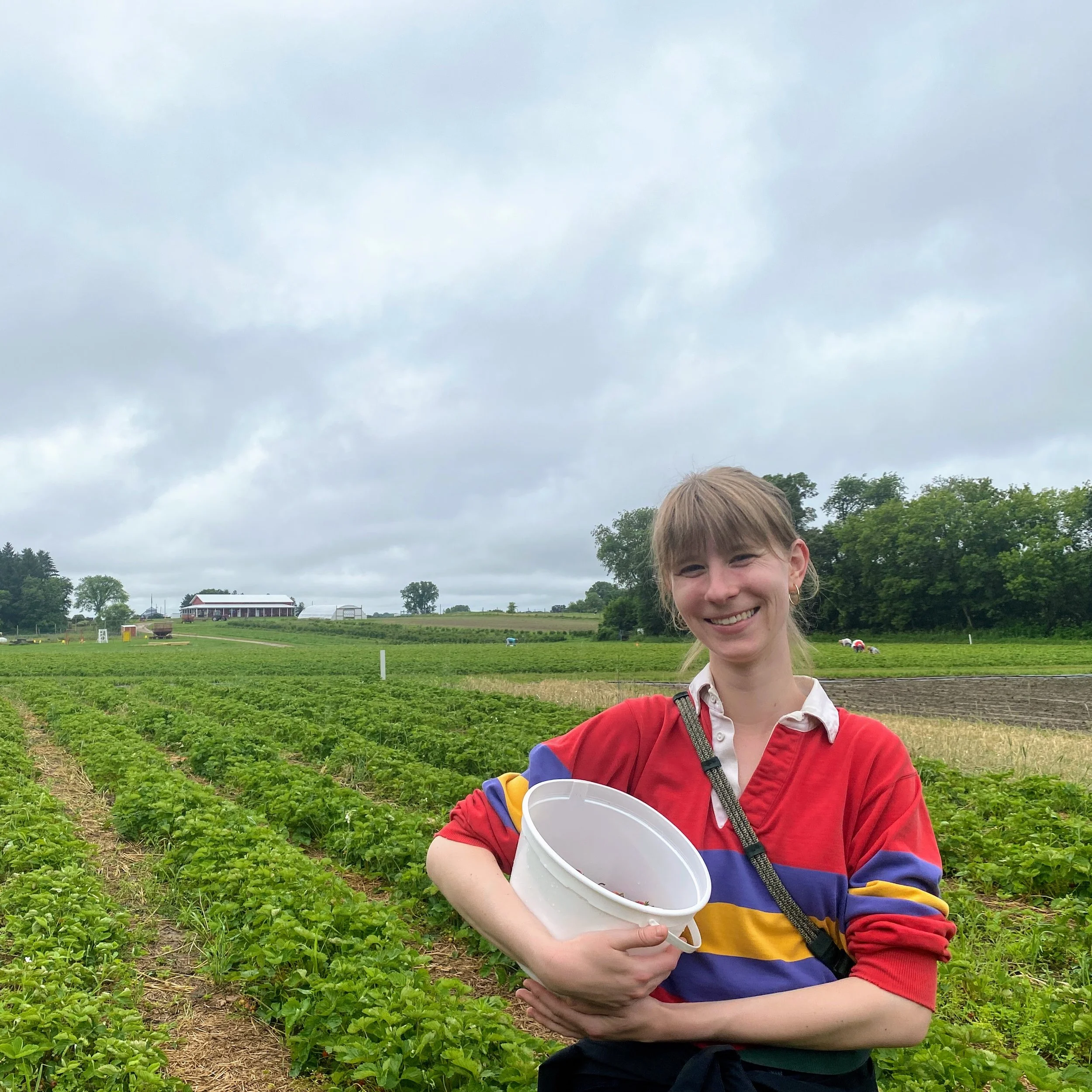 Radish. An Introduction.