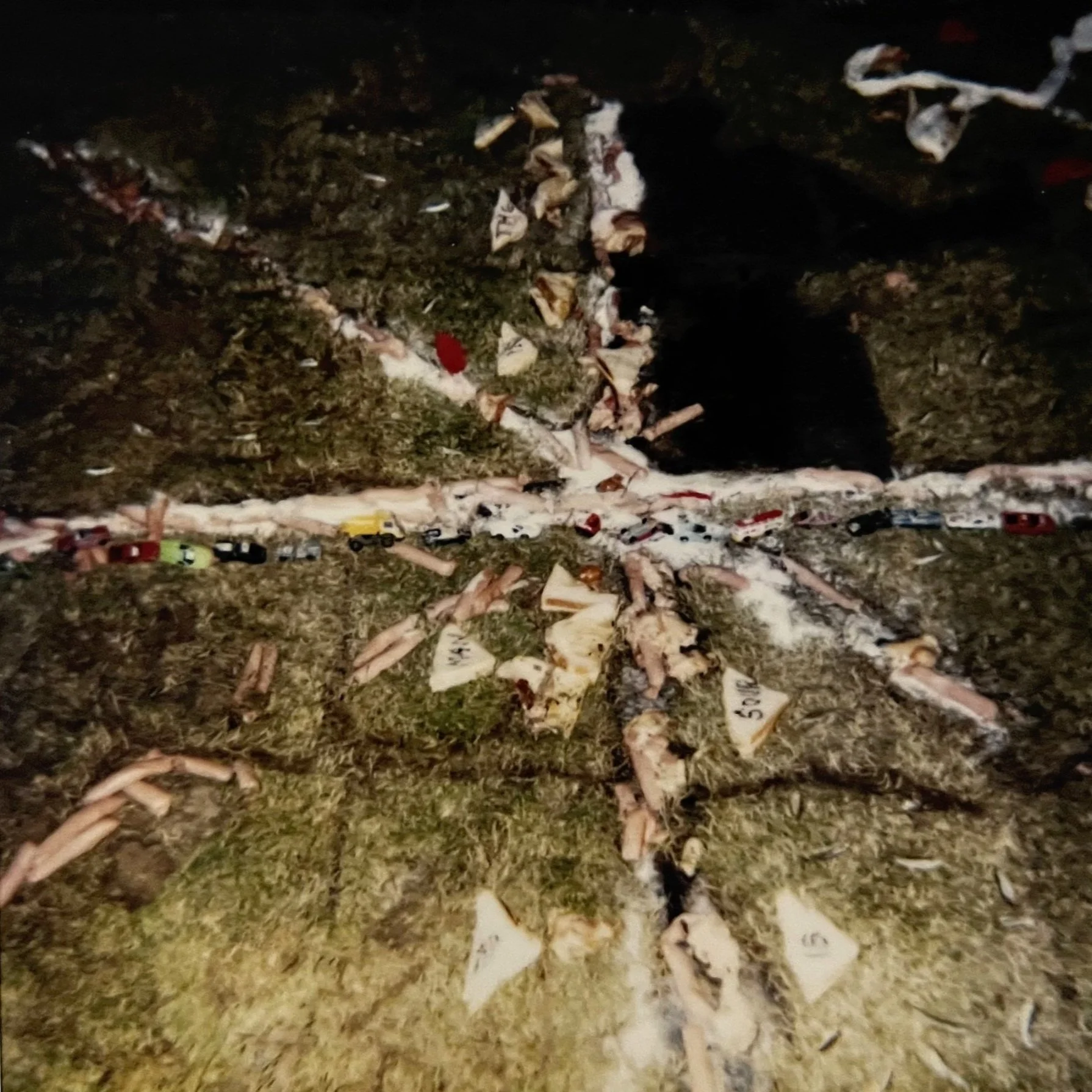   The Architecture of Anatomy     (1993), onstage polaroid