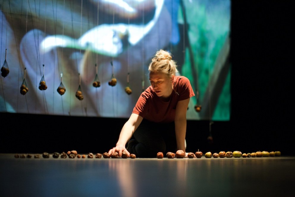 97 Years  (2013) by Jo Hellier. Photo by Pari Naderi.