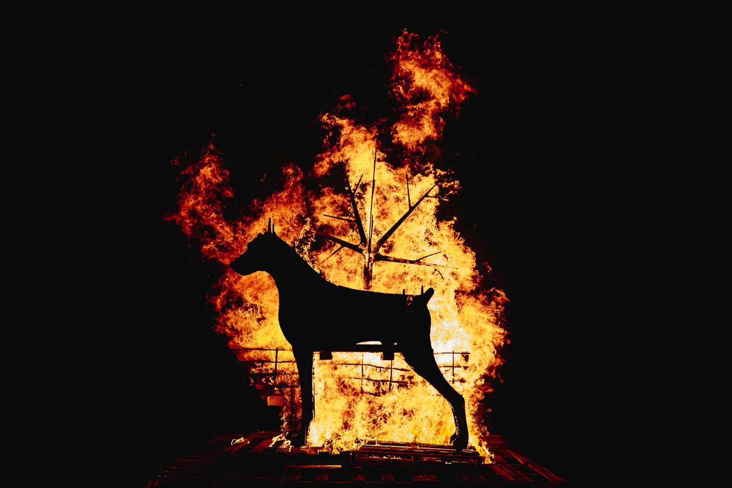   The Pyre Parade   (2018) by The Rough Band. Photo by Guido Mencari.