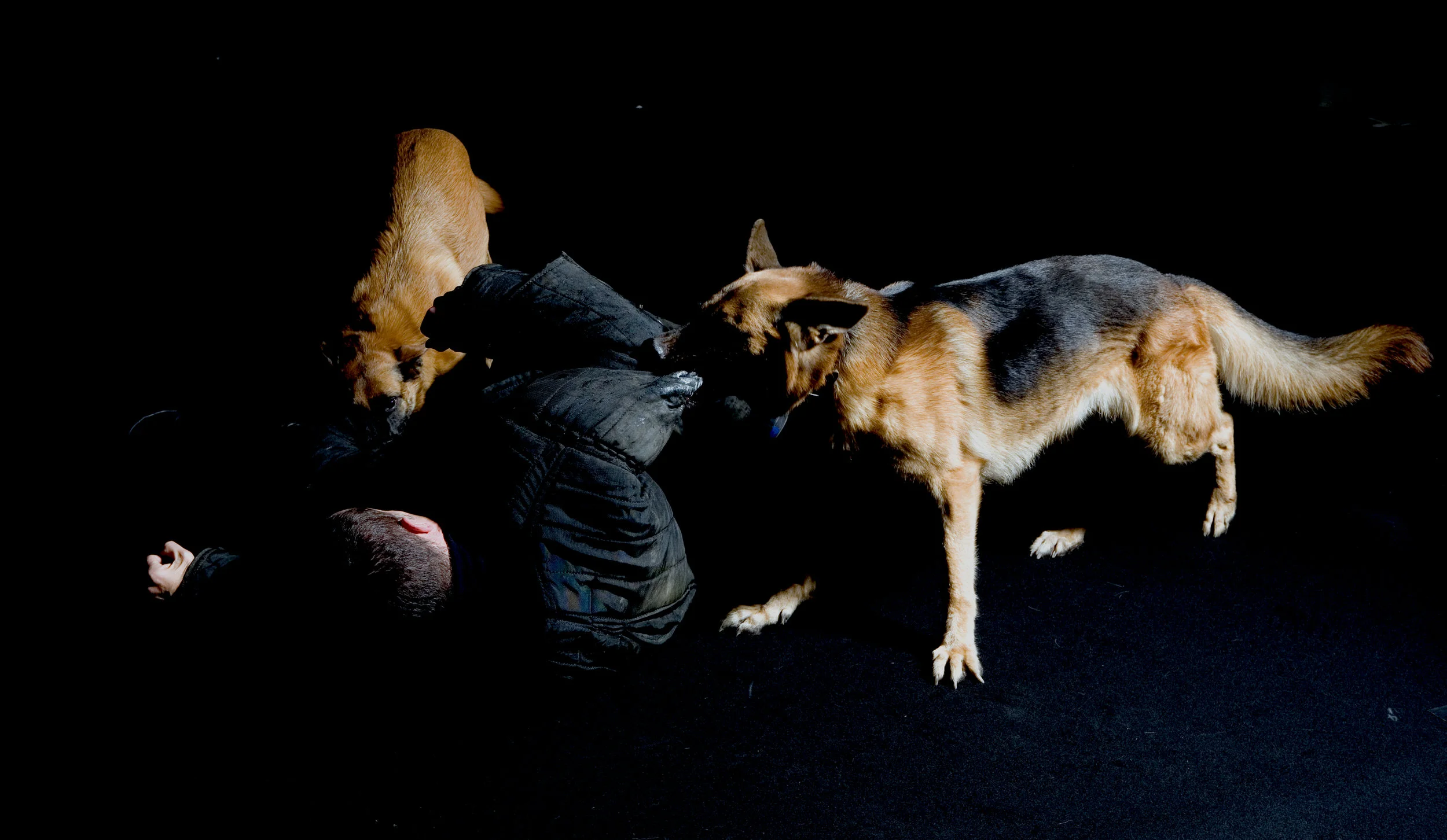   Inferno     (2006) by Romeo Castellucci & Socìetas Raffaello Sanzio. Photo by Luca Del Pia.