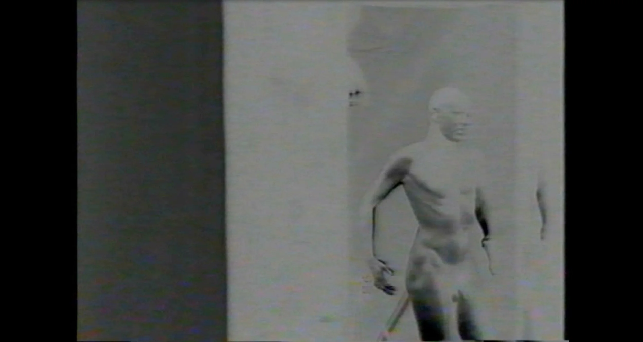   Self-Elimination   (1998). Self portrait on video.