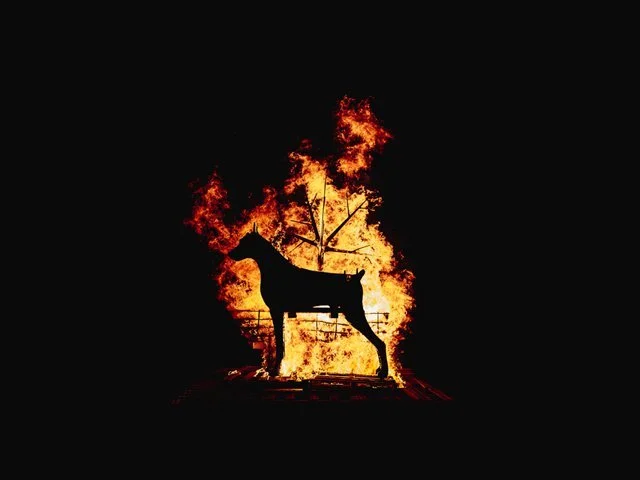   The Pyre Parade      (2018) by The Rough Band. Photo by Guido Mencari.